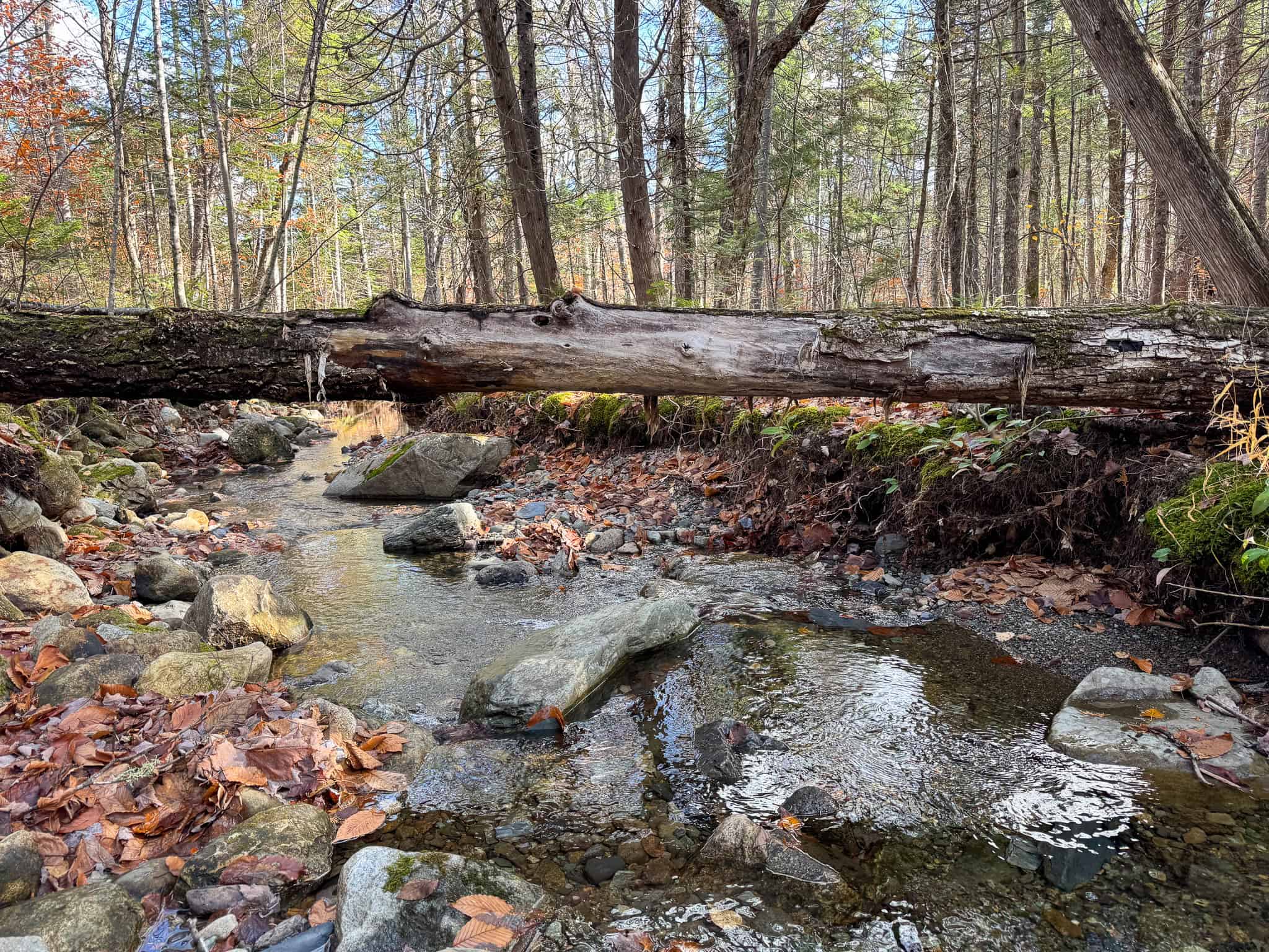 115± Acres Hunting Land with Trout Brook, Power & Paved Road Access