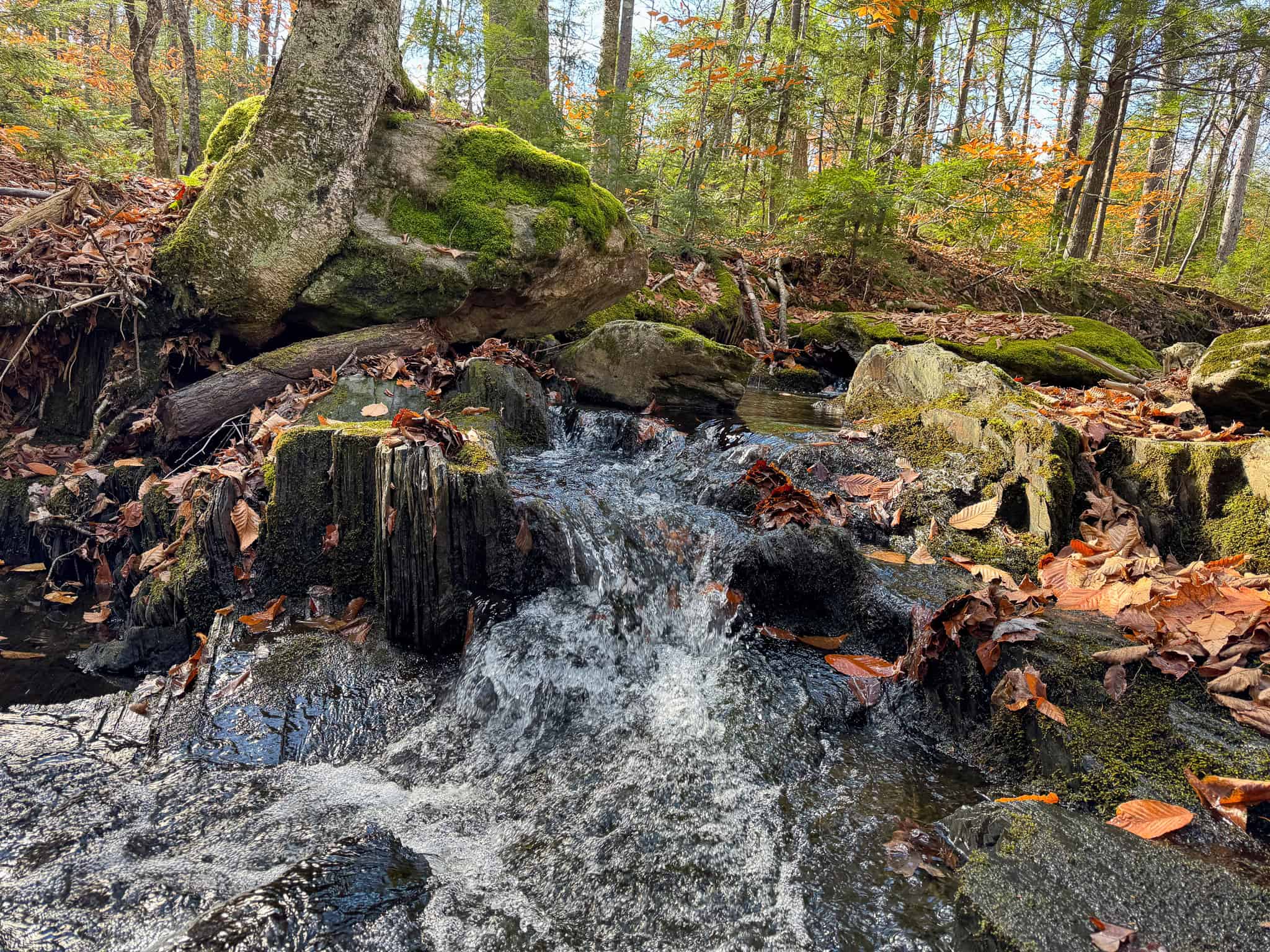 115± Acres Hunting Land with Trout Brook, Power & Paved Road Access