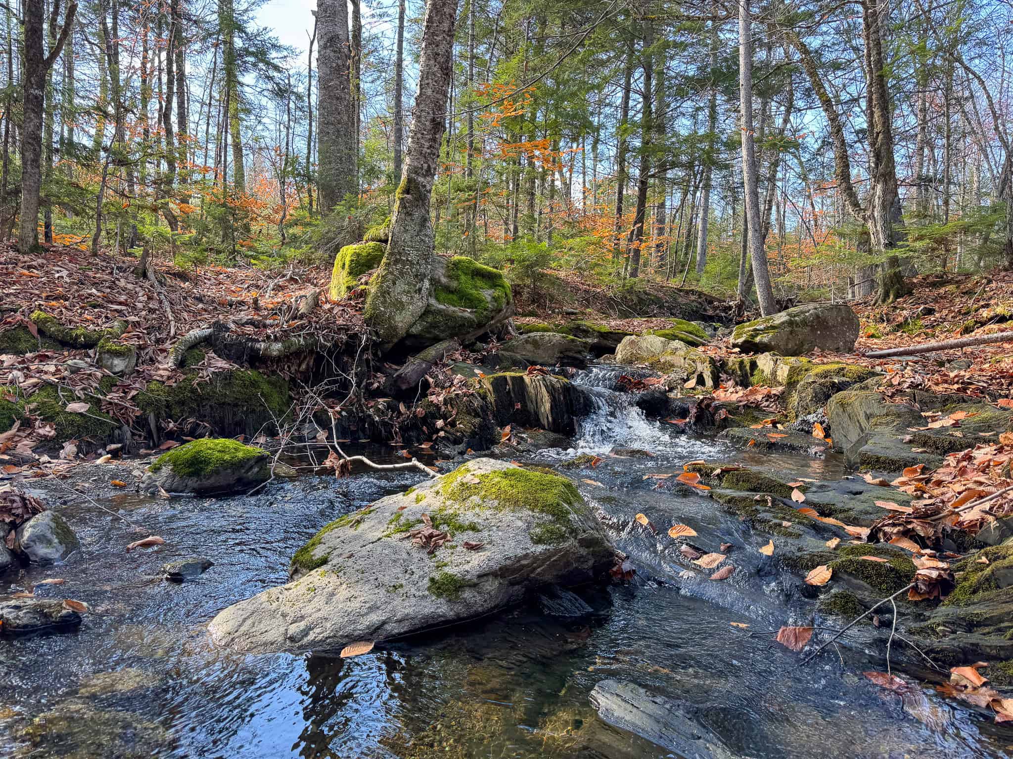 115± Acres Hunting Land with Trout Brook, Power & Paved Road Access