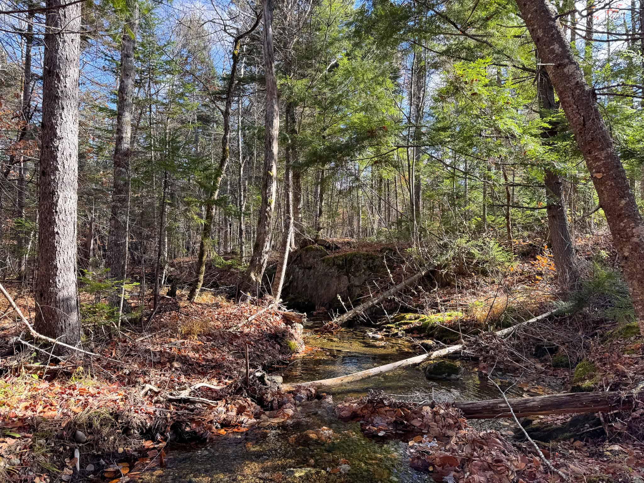 115± Acres Hunting Land with Trout Brook, Power & Paved Road Access