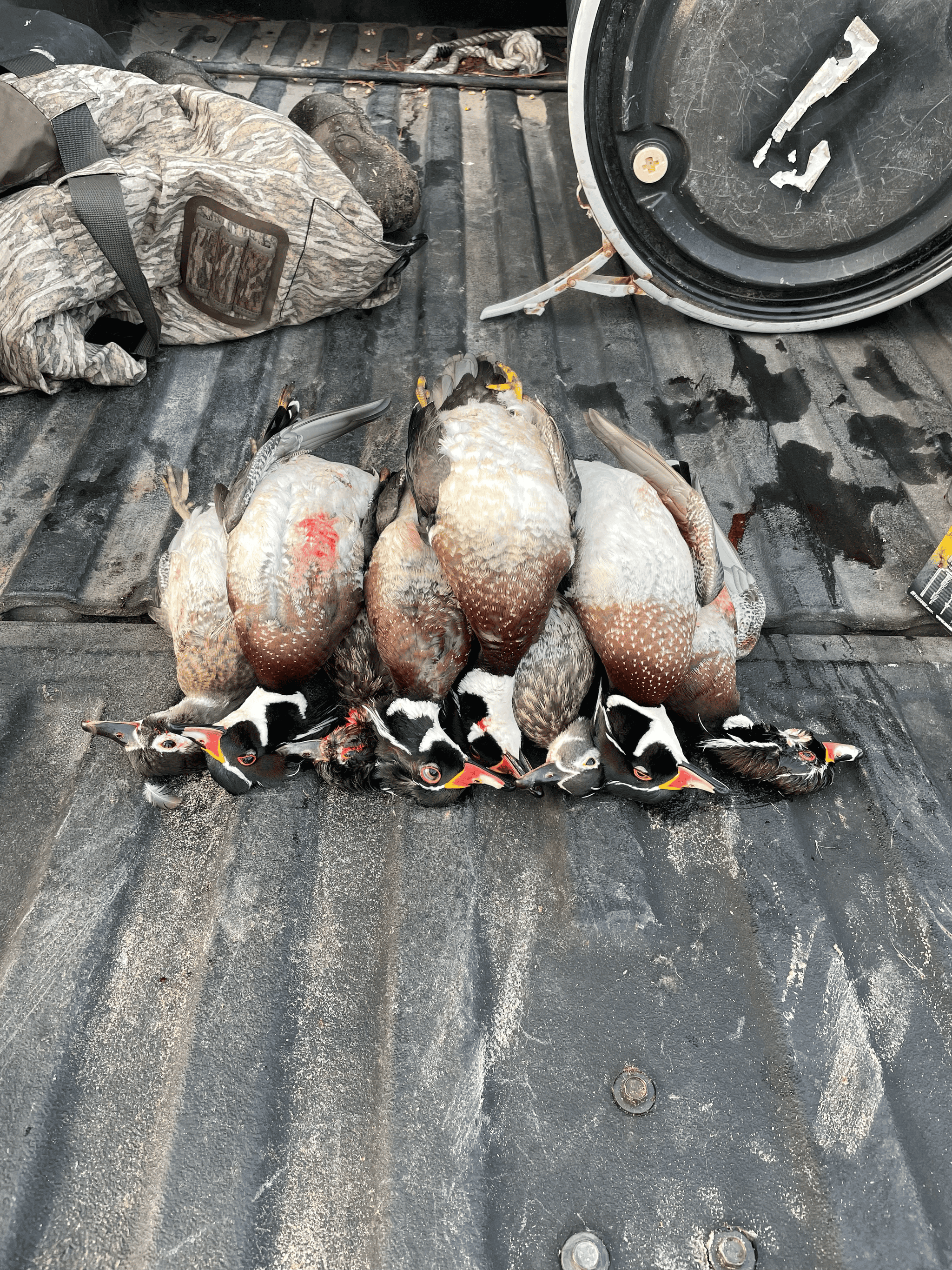 53-Acre Duck Hunting Land on Chocowinity Creek