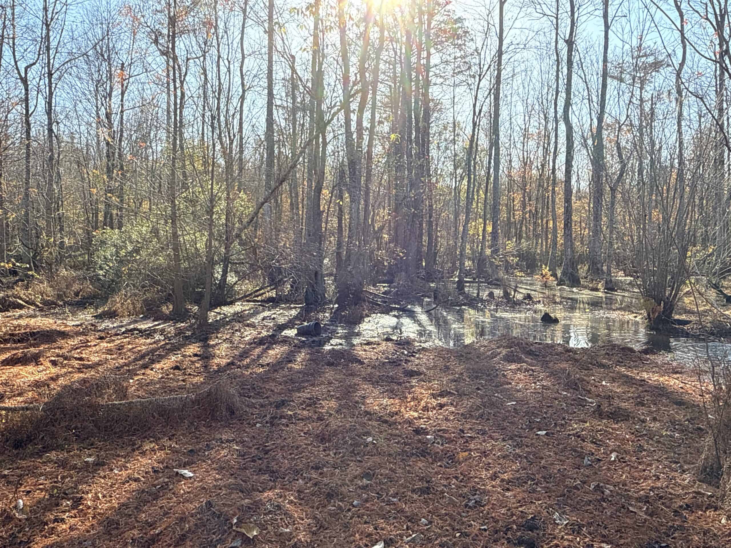 53-Acre Duck Hunting Land on Chocowinity Creek