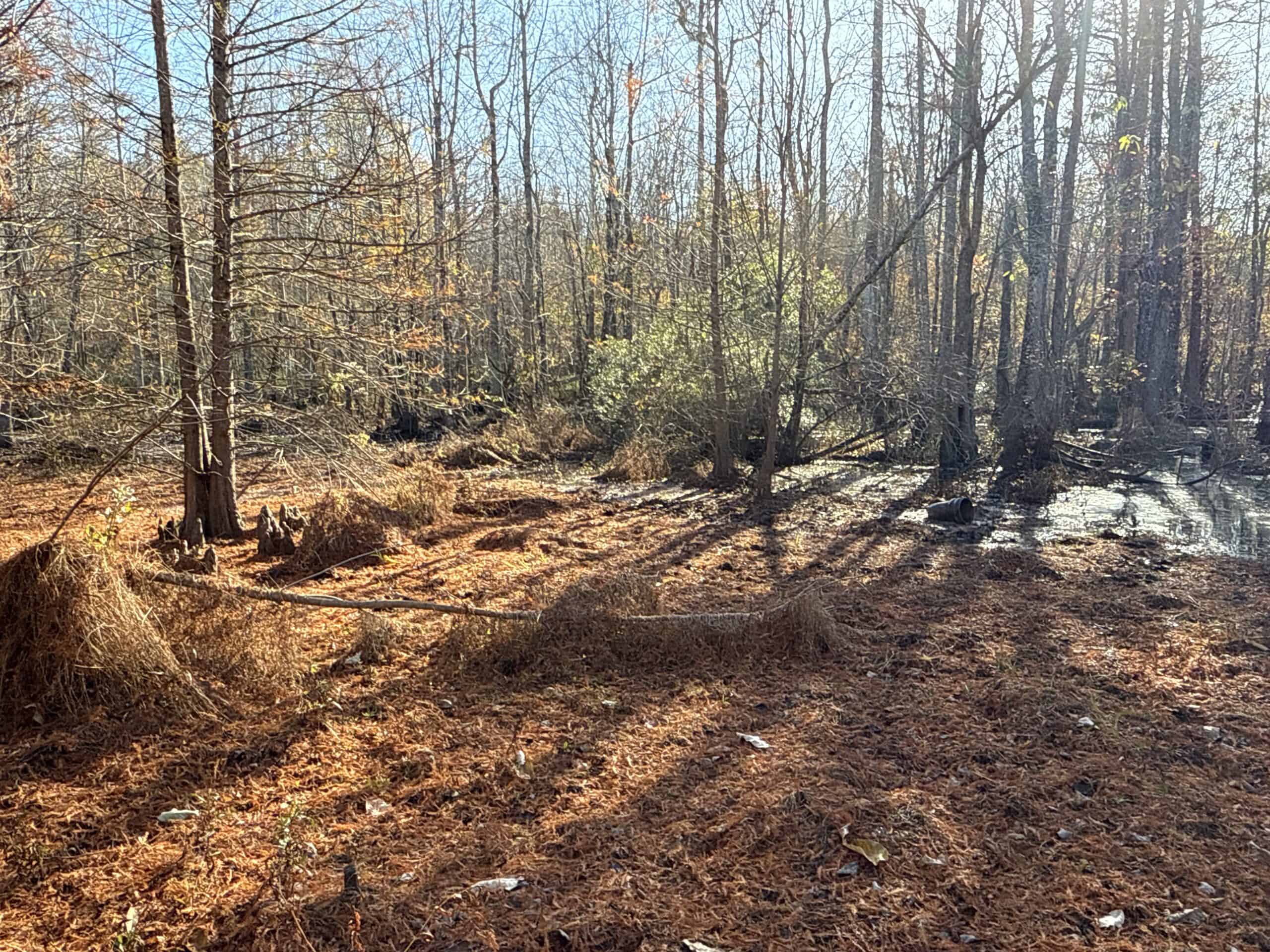 53-Acre Duck Hunting Land on Chocowinity Creek