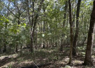 East Texas Recreational Land For Sale