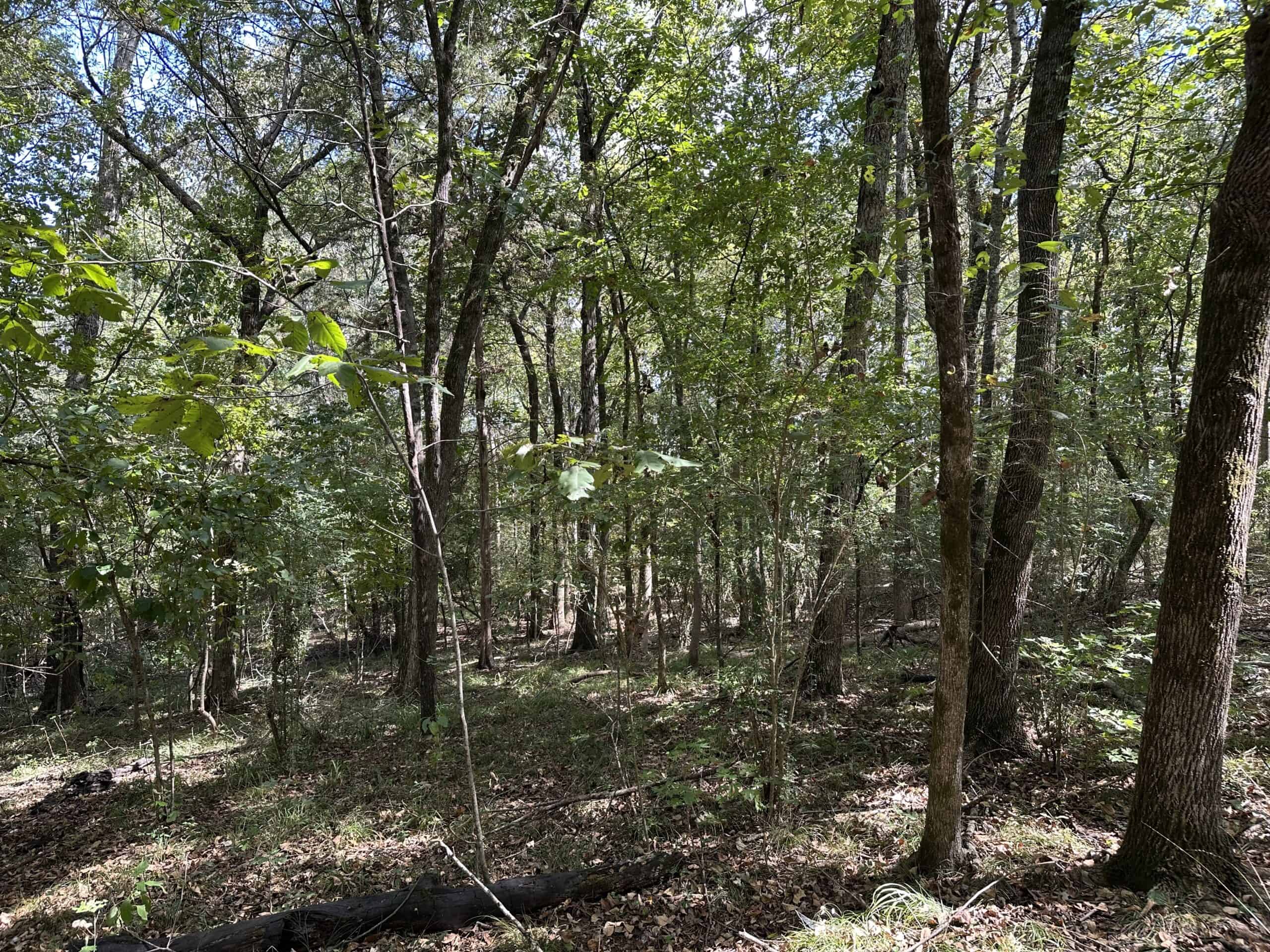 East Texas Recreational Land For Sale