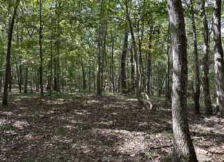 East Texas Recreational Land For Sale