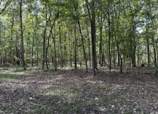 East Texas Recreational Land For Sale