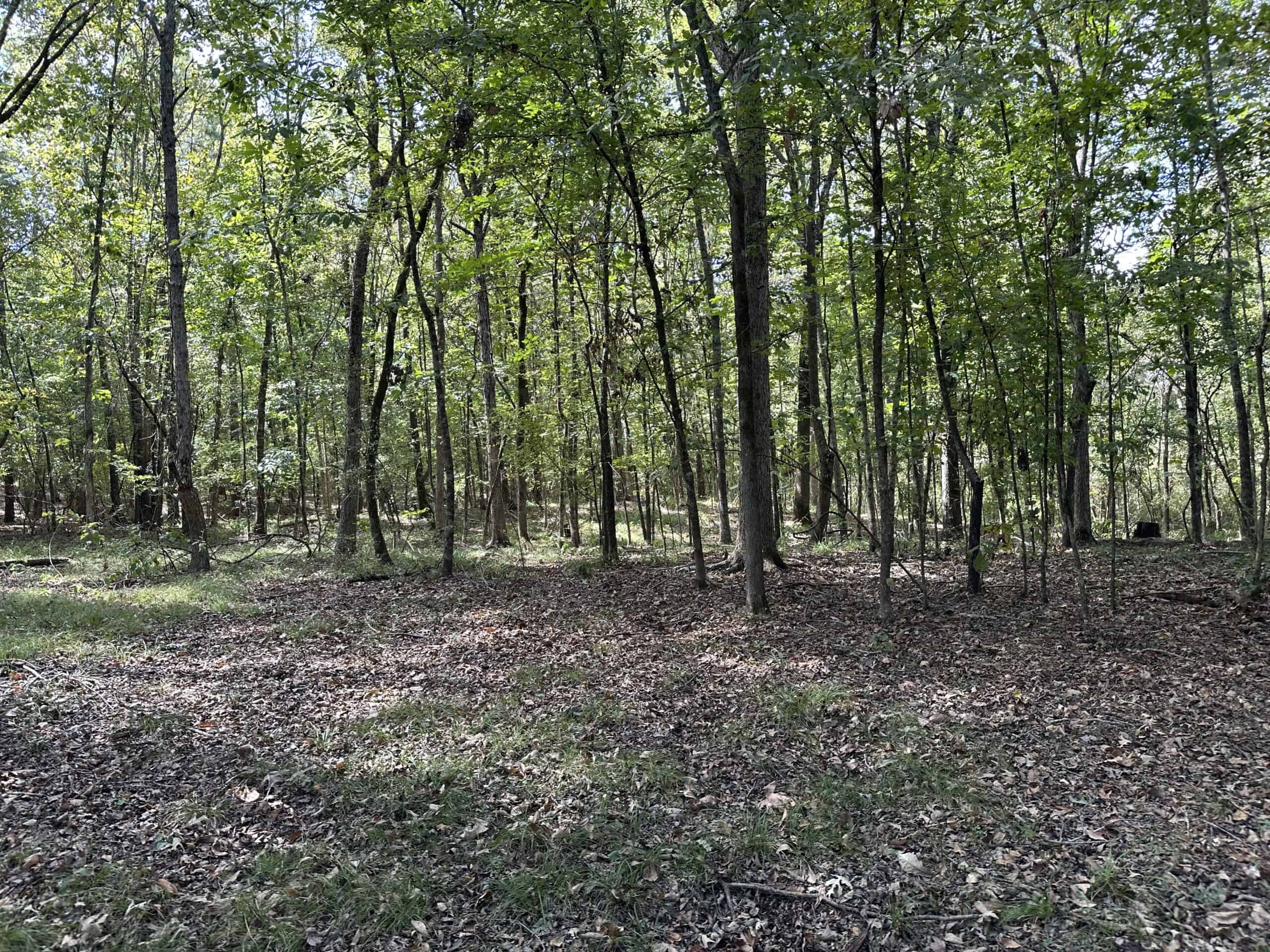 East Texas Recreational Land For Sale
