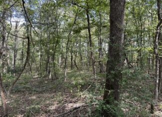 East Texas Recreational Land For Sale