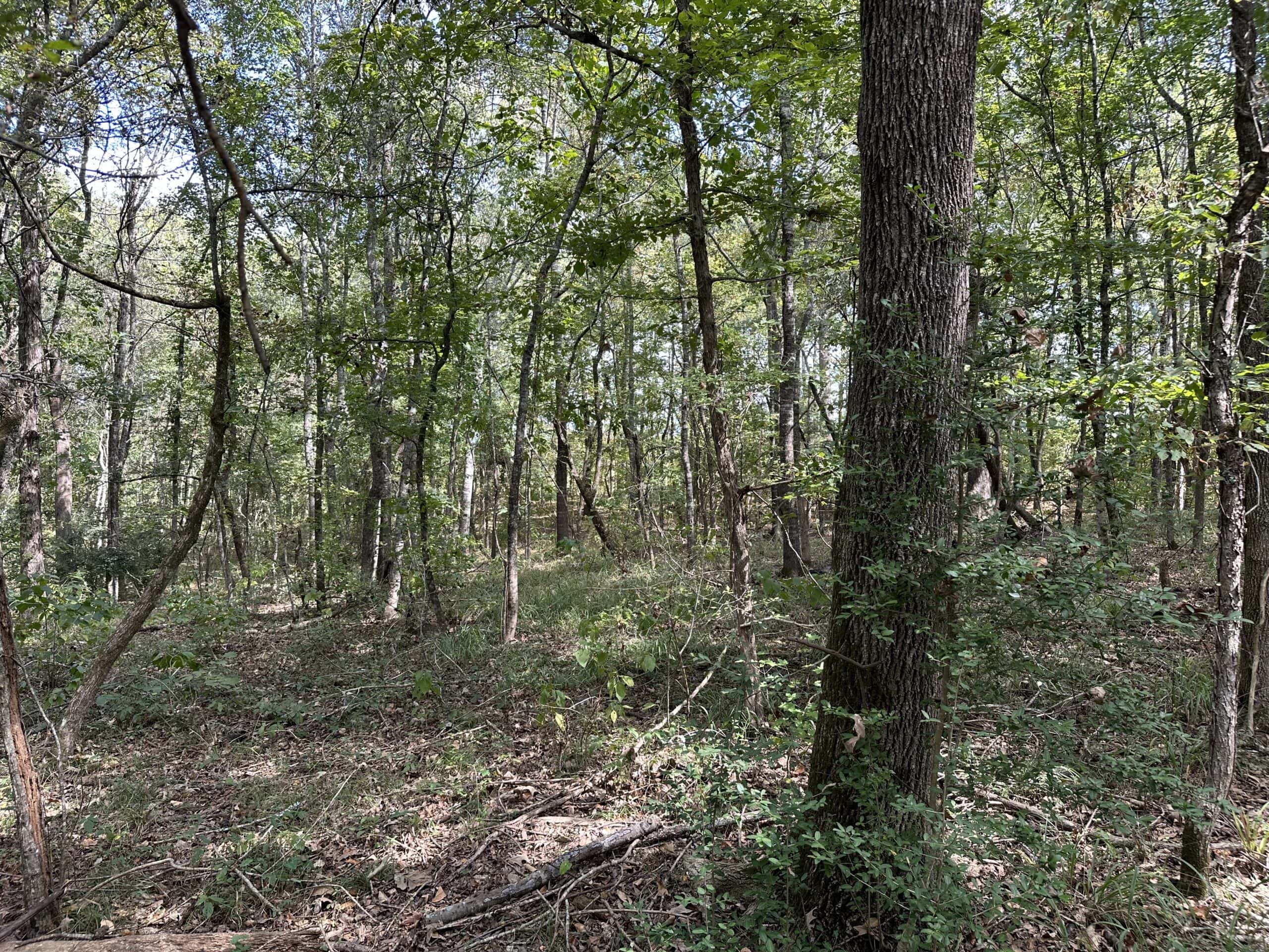 East Texas Recreational Land For Sale