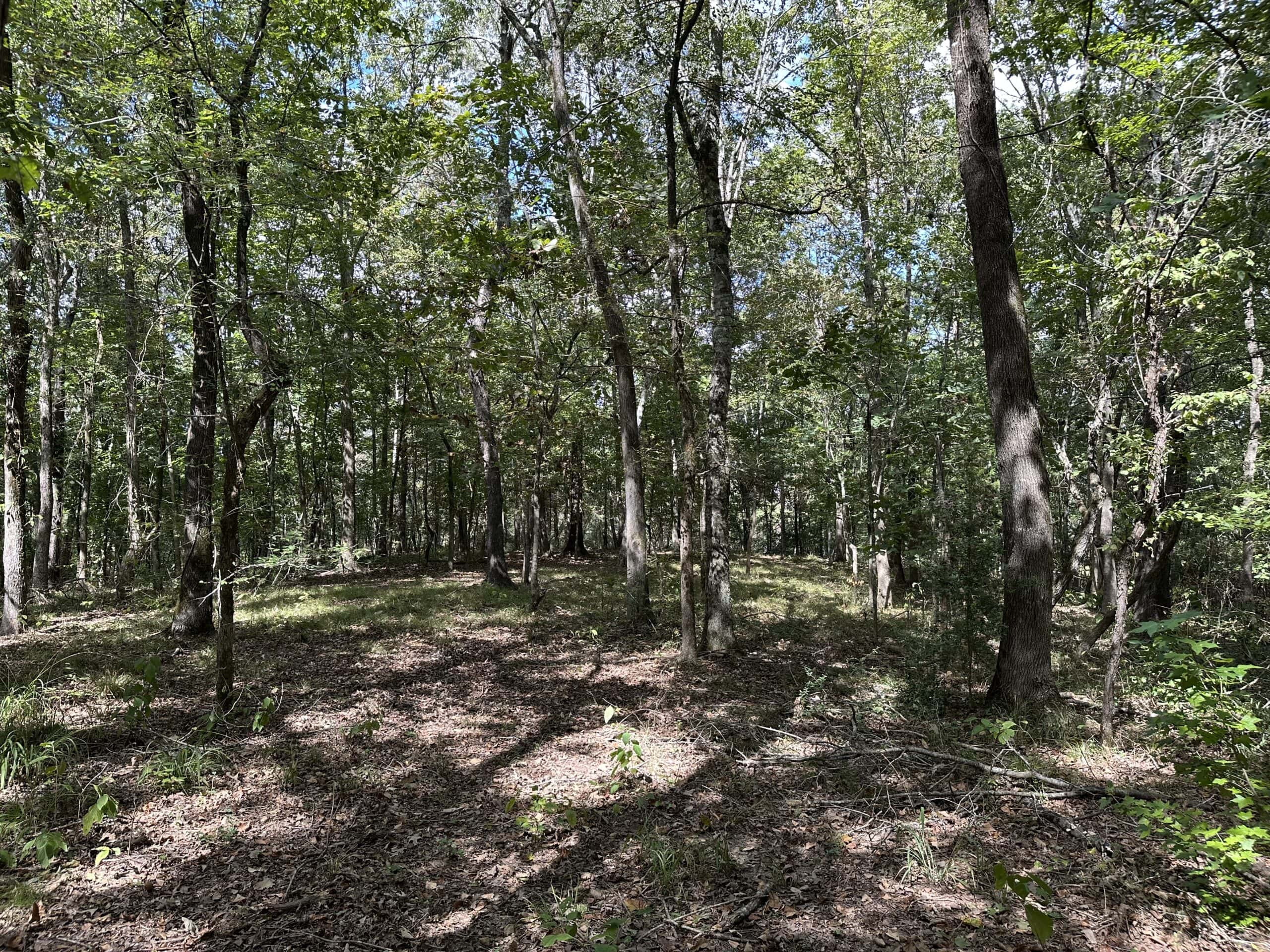 East Texas Recreational Land For Sale