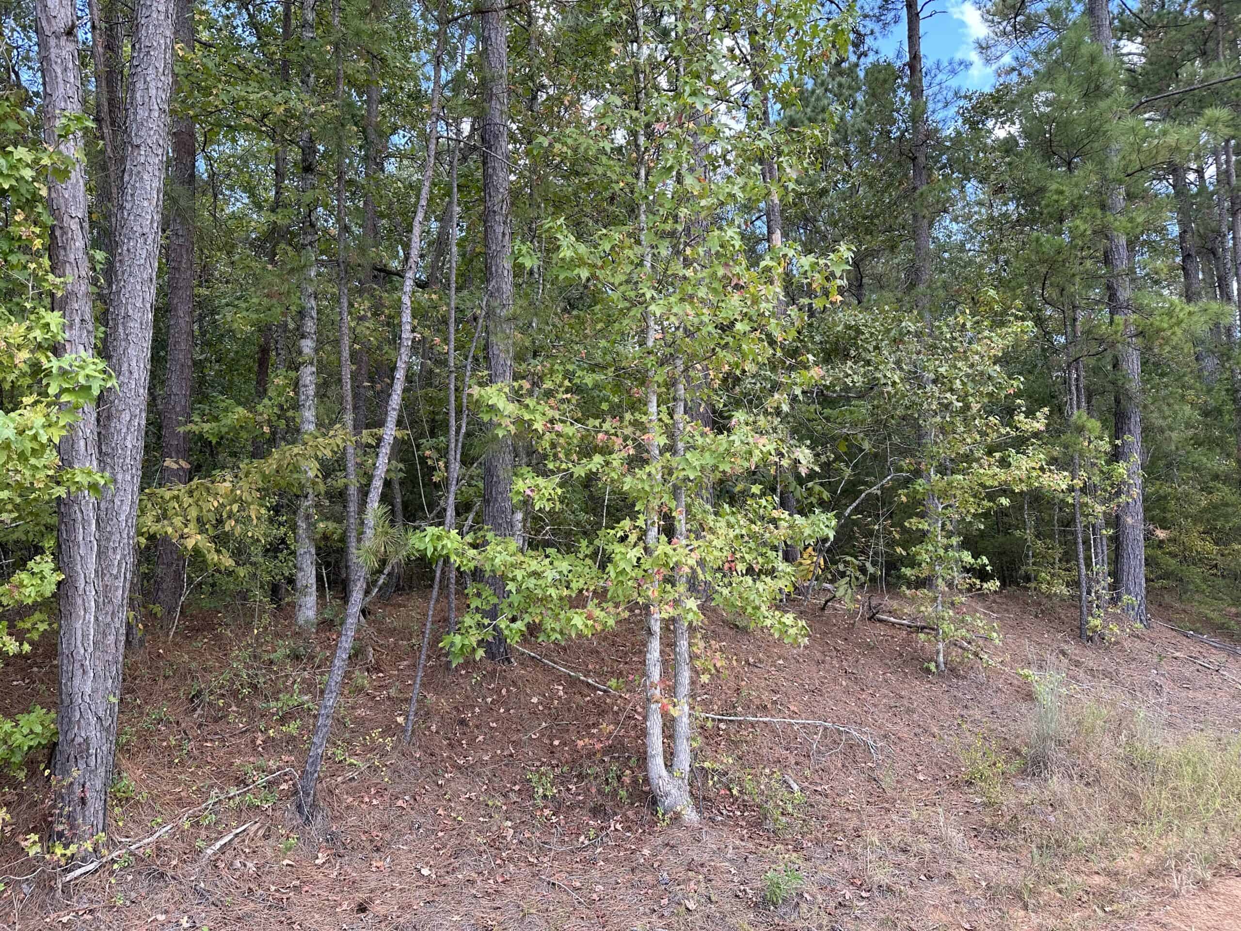 East Texas Recreational Land For Sale