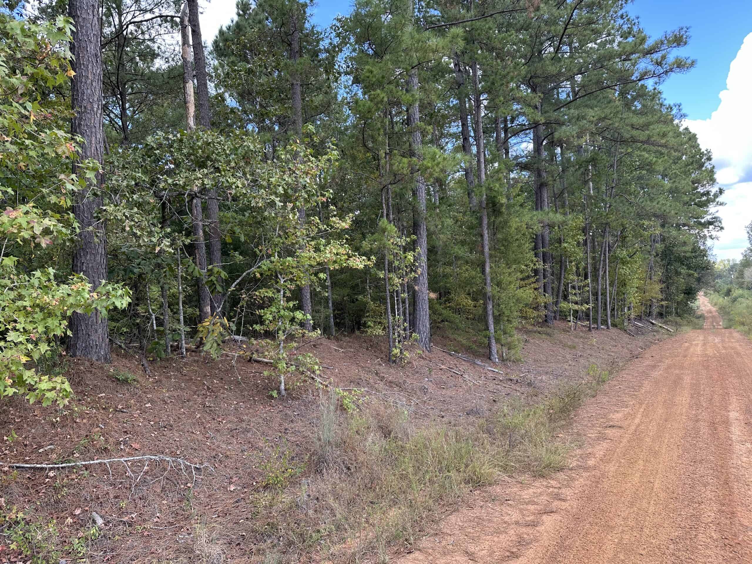 East Texas Recreational Land For Sale