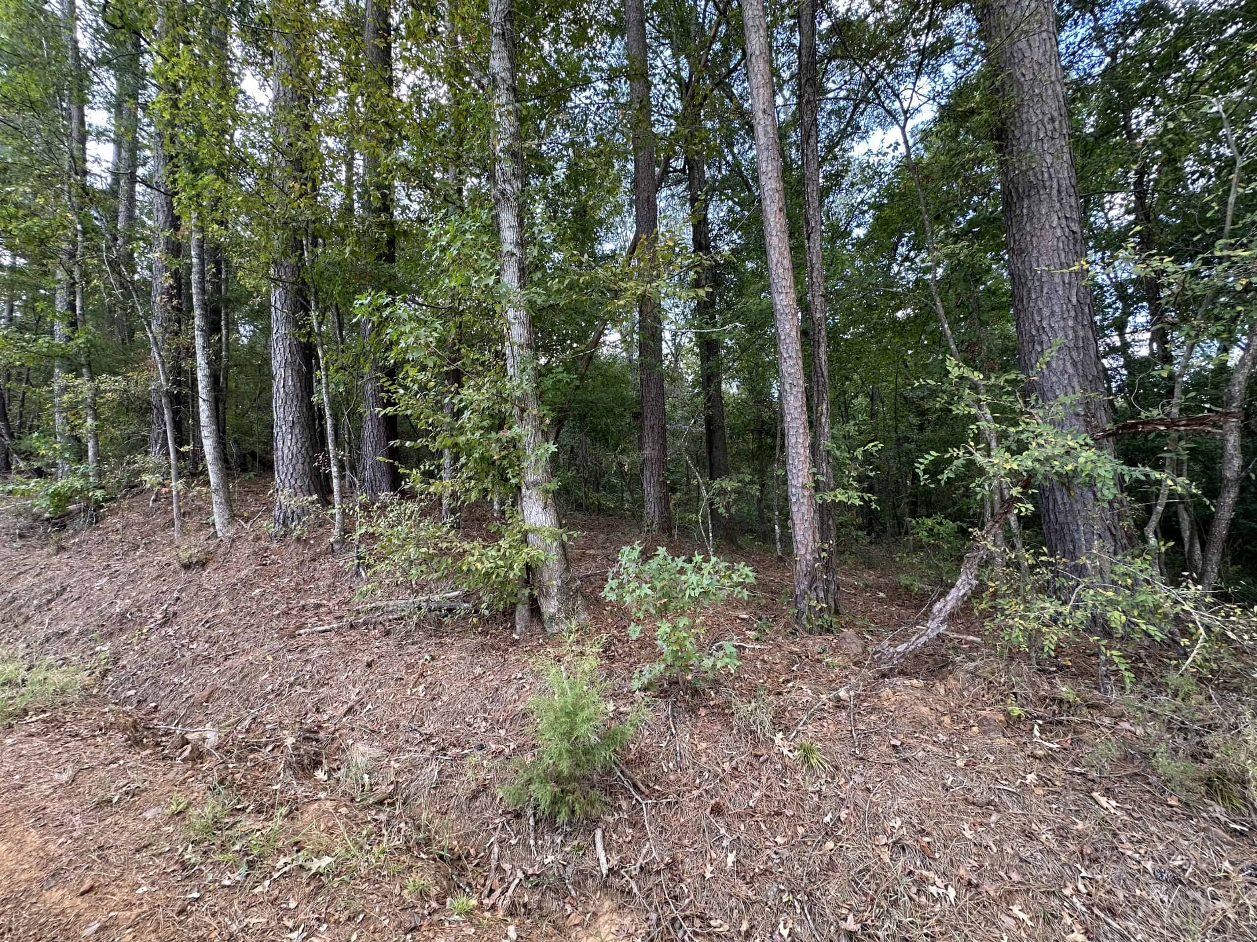 East Texas Recreational Land For Sale