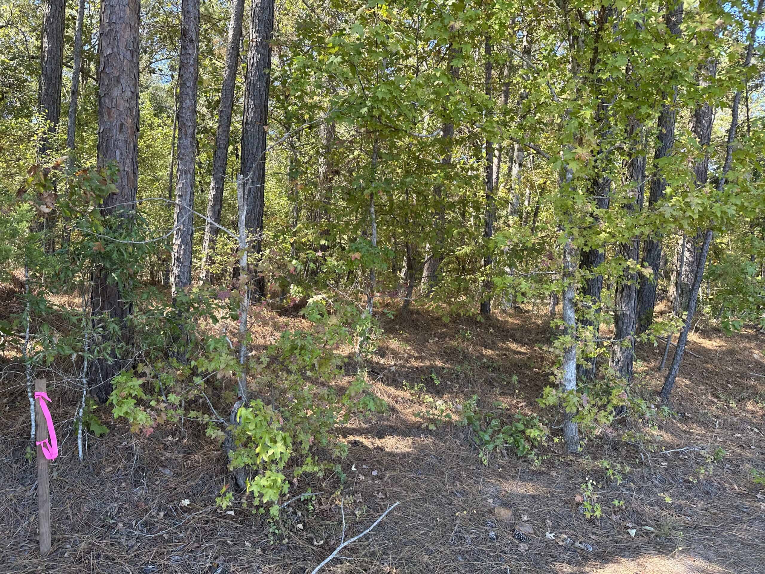 East Texas Recreational Land For Sale
