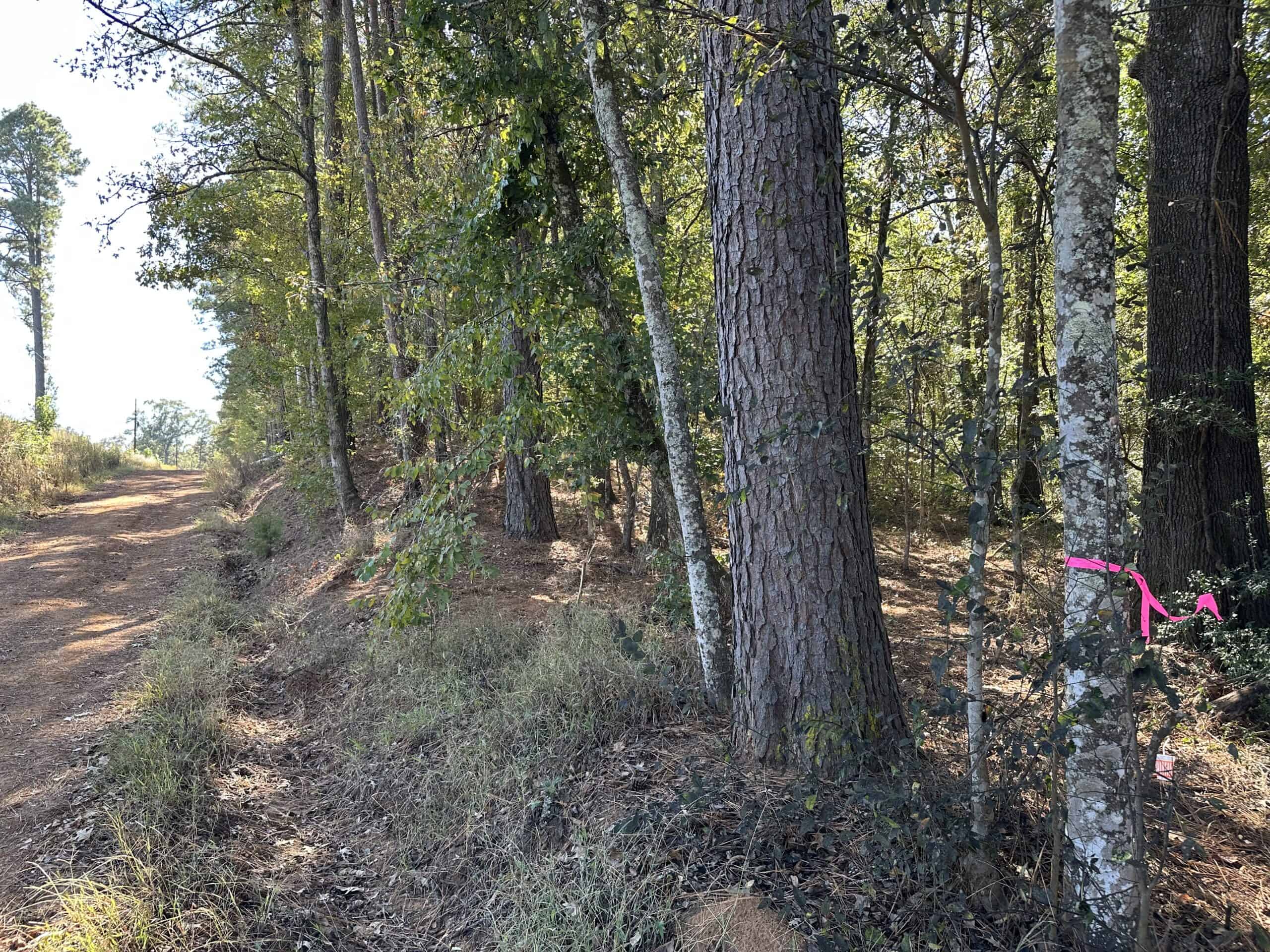 East Texas Recreational Land For Sale