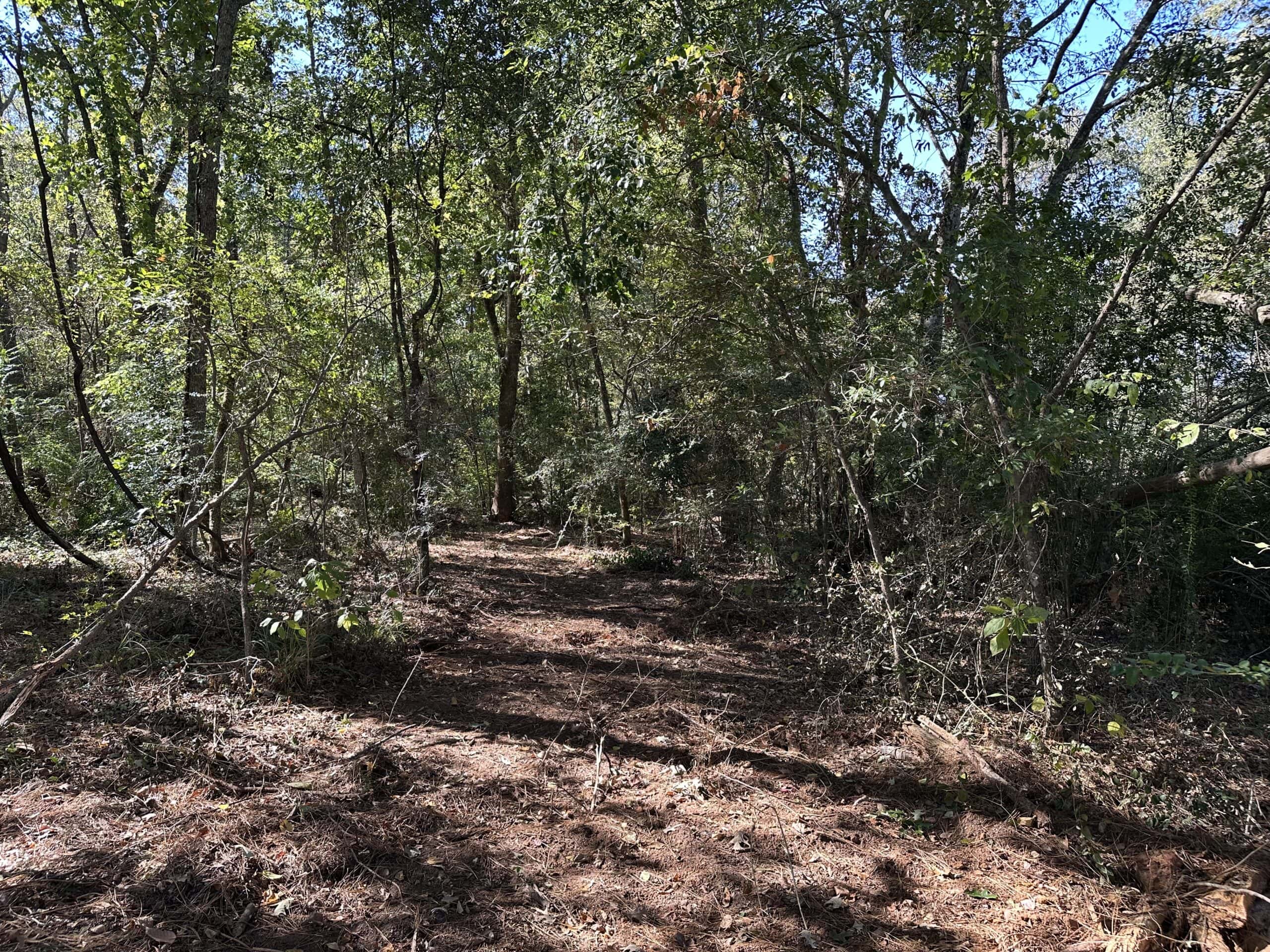 East Texas Recreational Land For Sale