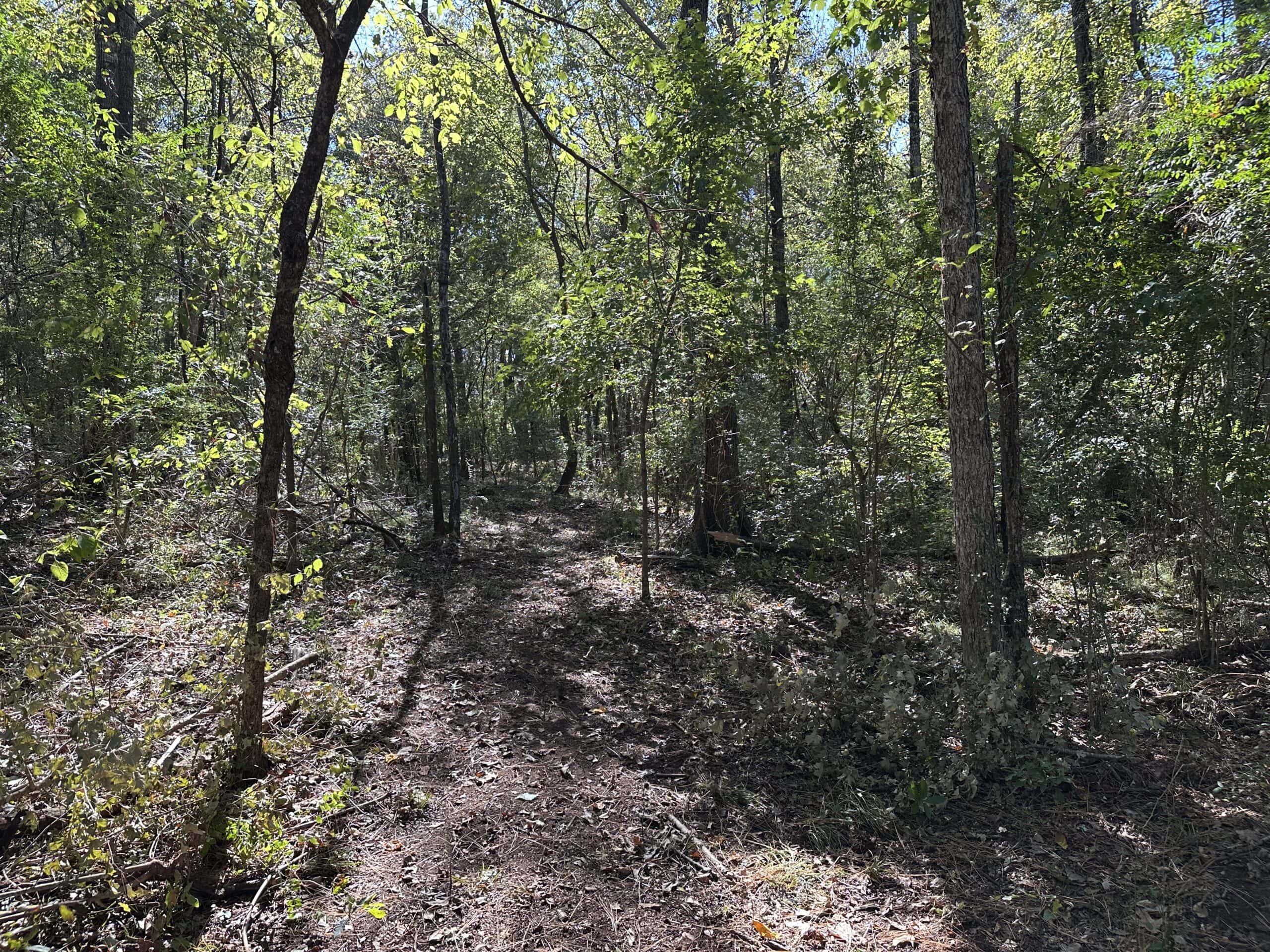 East Texas Recreational Land For Sale