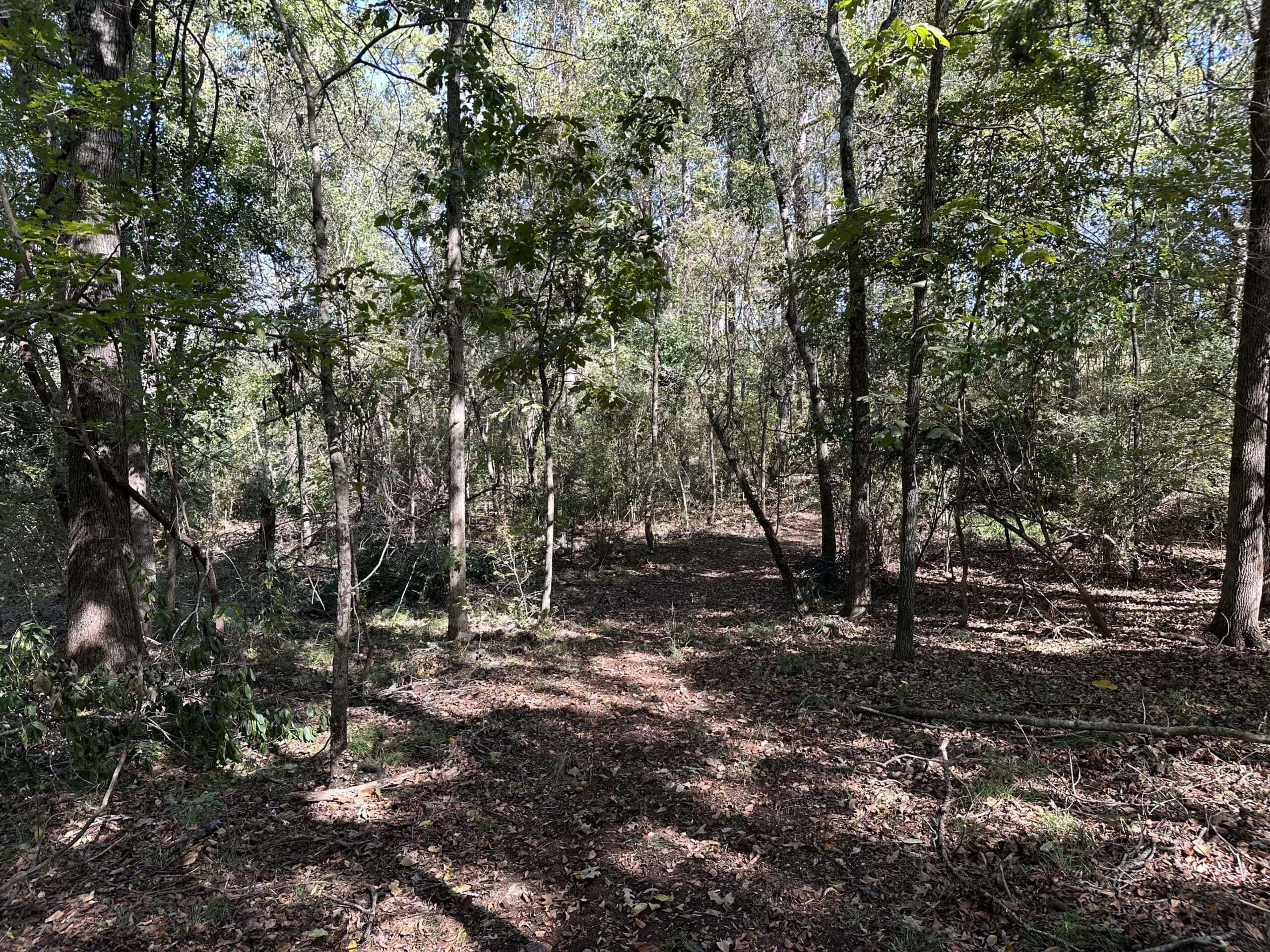 East Texas Recreational Land For Sale
