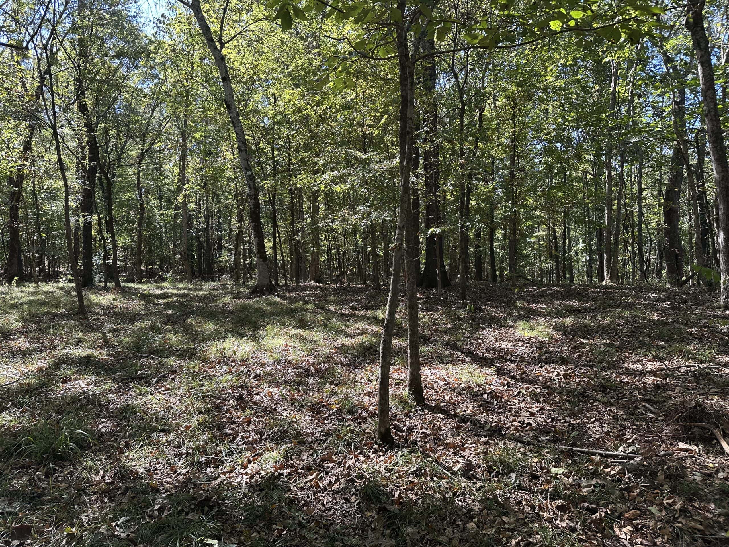 East Texas Recreational Land For Sale