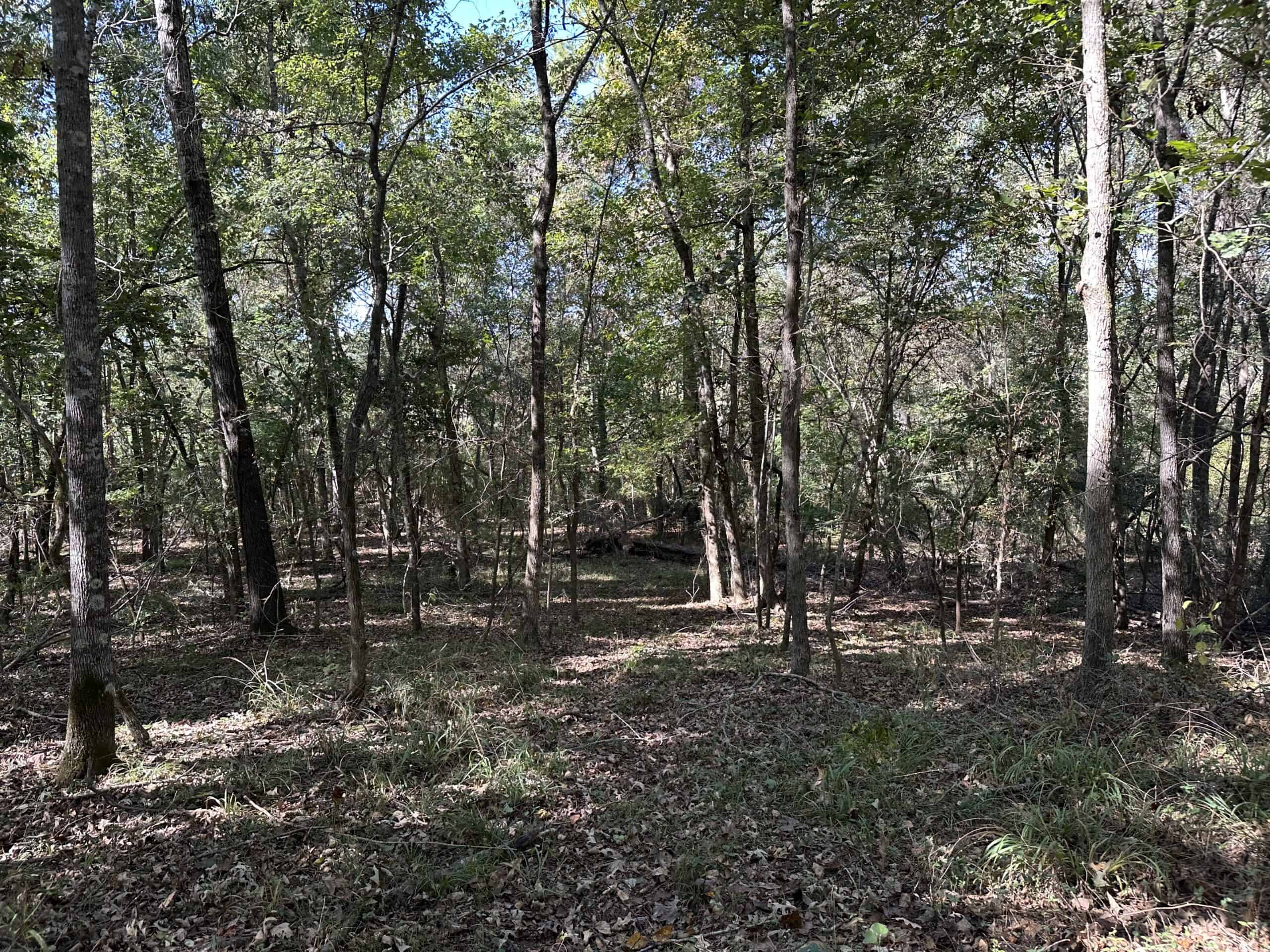 East Texas Recreational Land For Sale