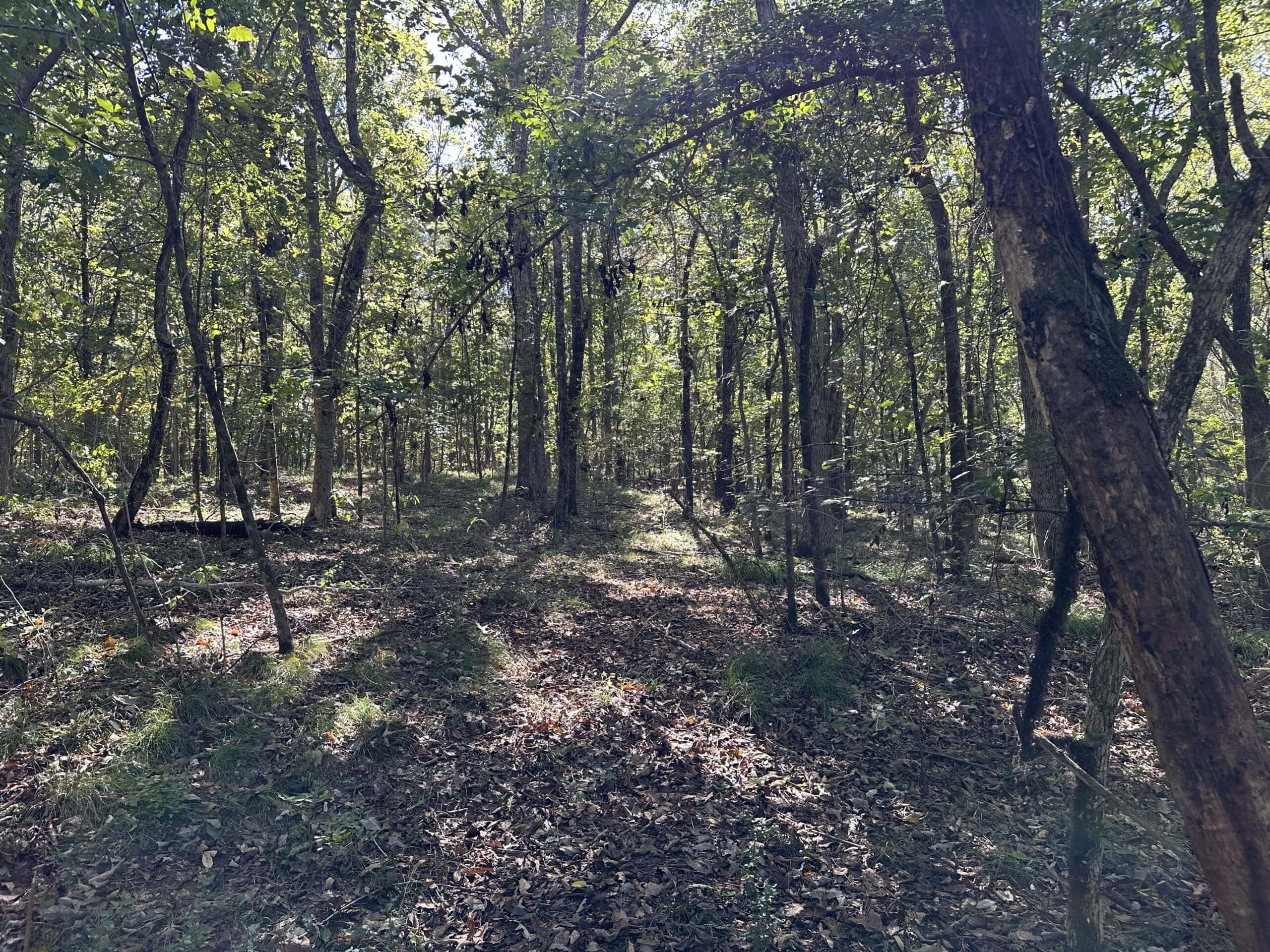 East Texas Recreational Land For Sale