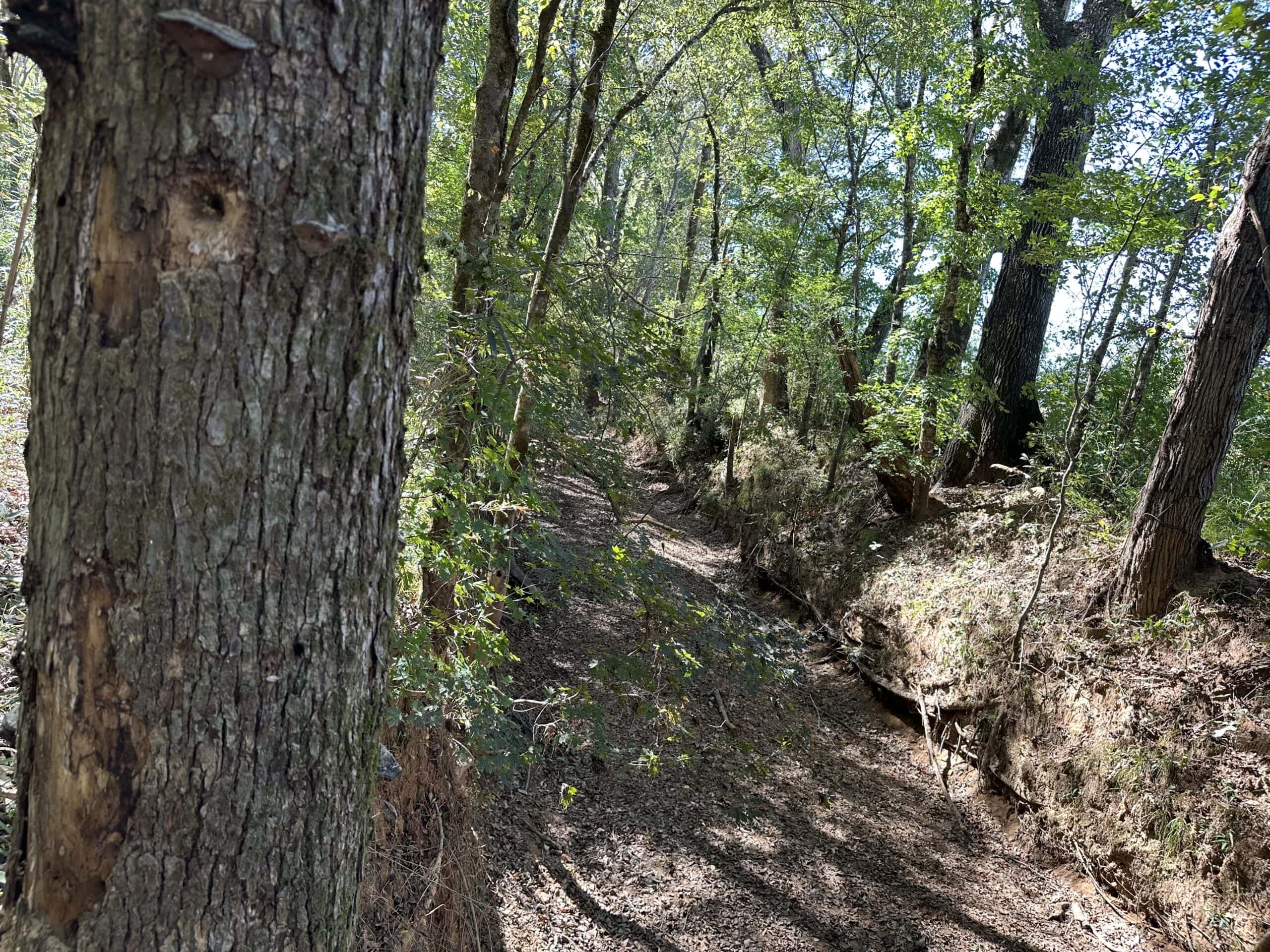 East Texas Recreational Land For Sale