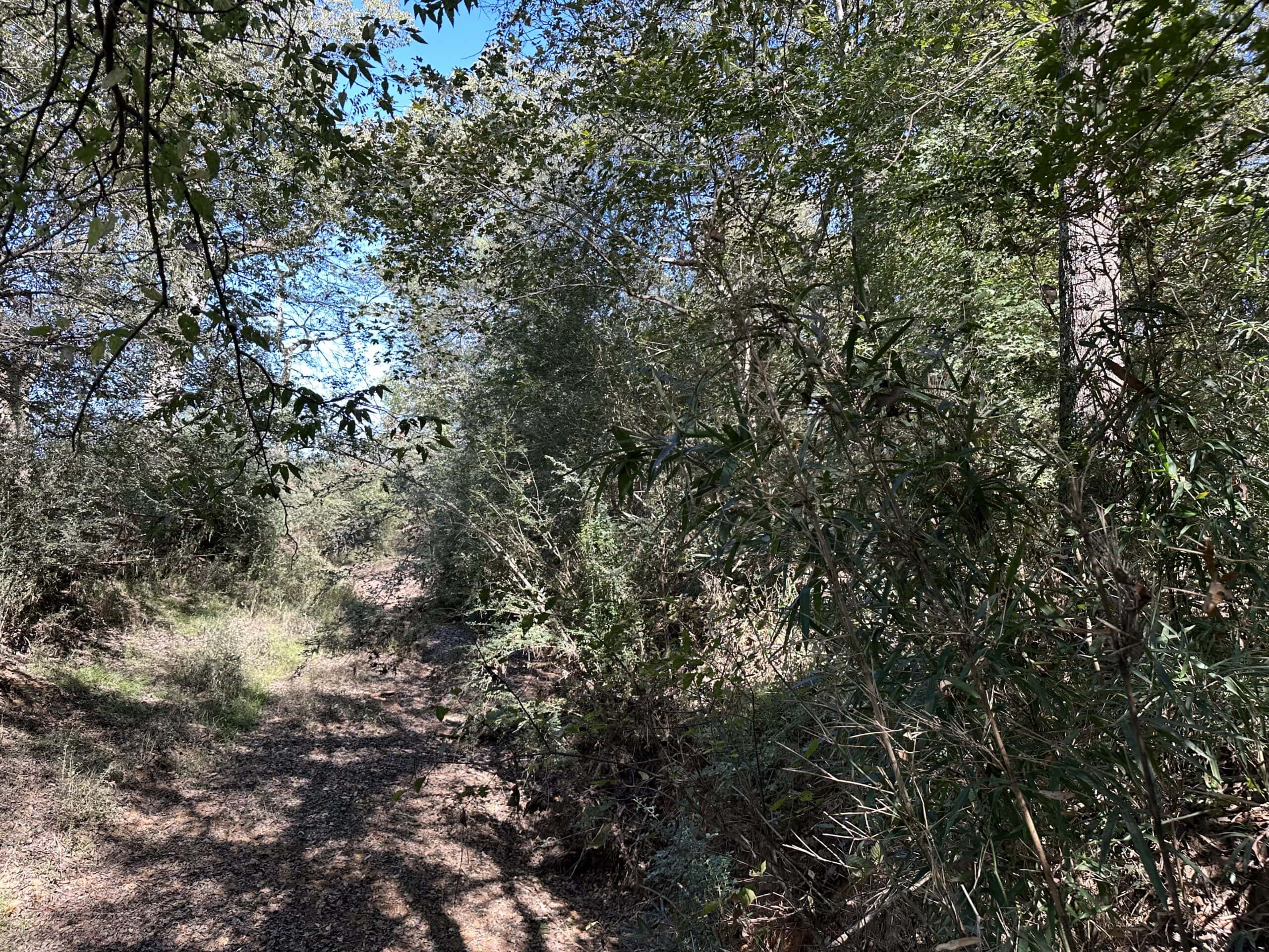 East Texas Recreational Land For Sale