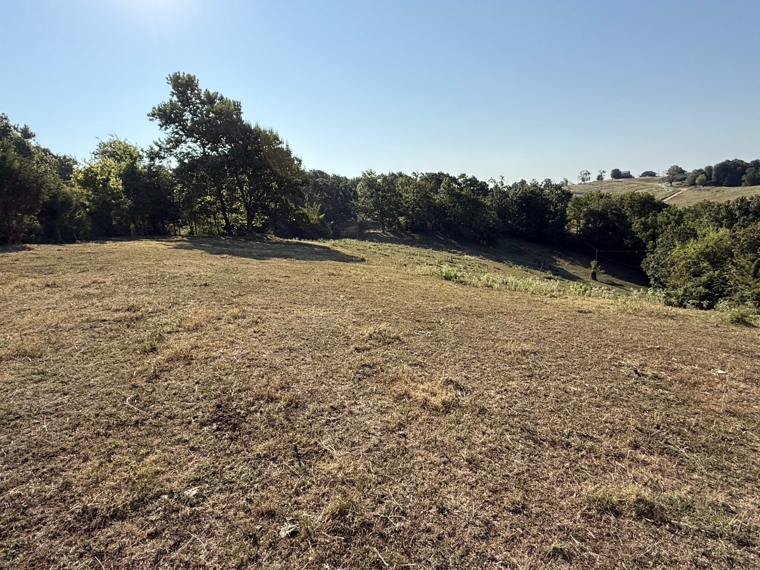 HUNTING FOREST LAND FOR SALE IN OZARK MOUNTAINS OF ARKANSAS