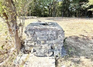 HUNTING FOREST LAND FOR SALE IN OZARK MOUNTAINS OF ARKANSAS