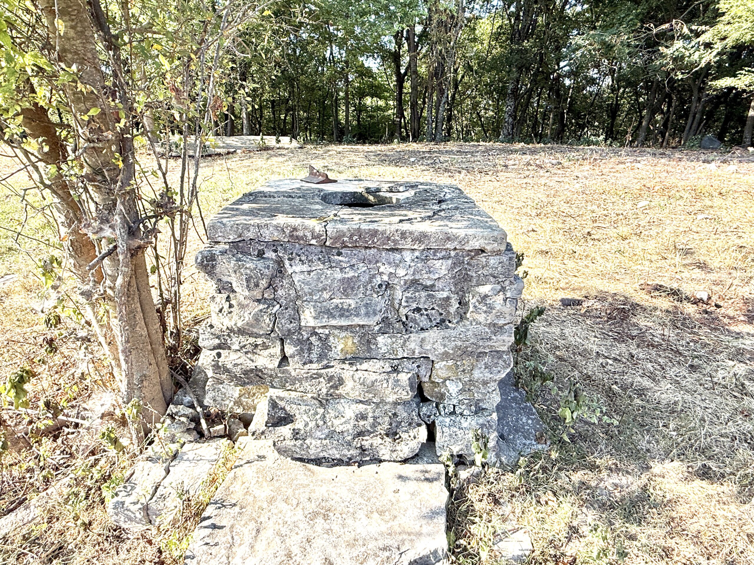 HUNTING FOREST LAND FOR SALE IN OZARK MOUNTAINS OF ARKANSAS