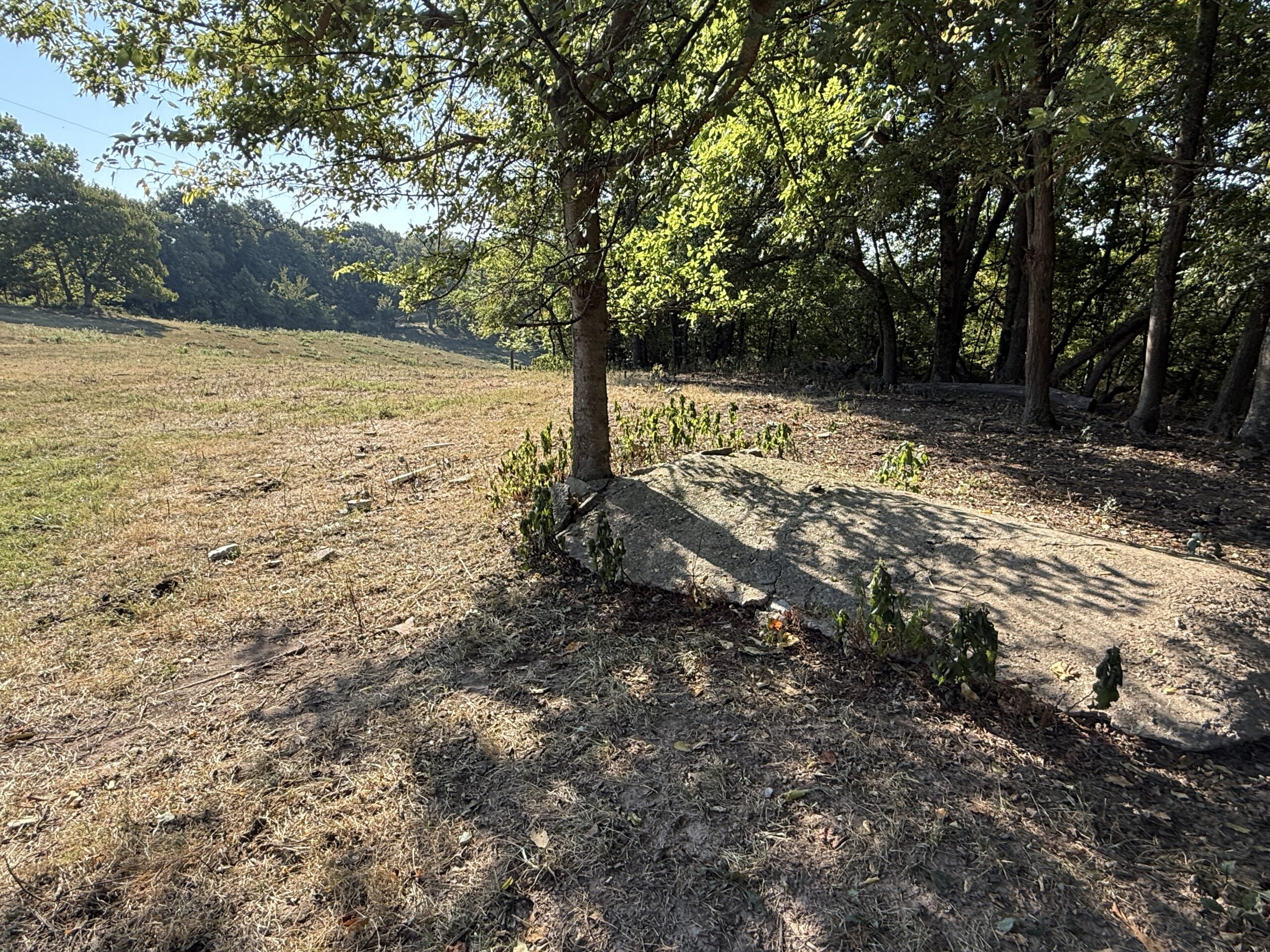 HUNTING FOREST LAND FOR SALE IN OZARK MOUNTAINS OF ARKANSAS