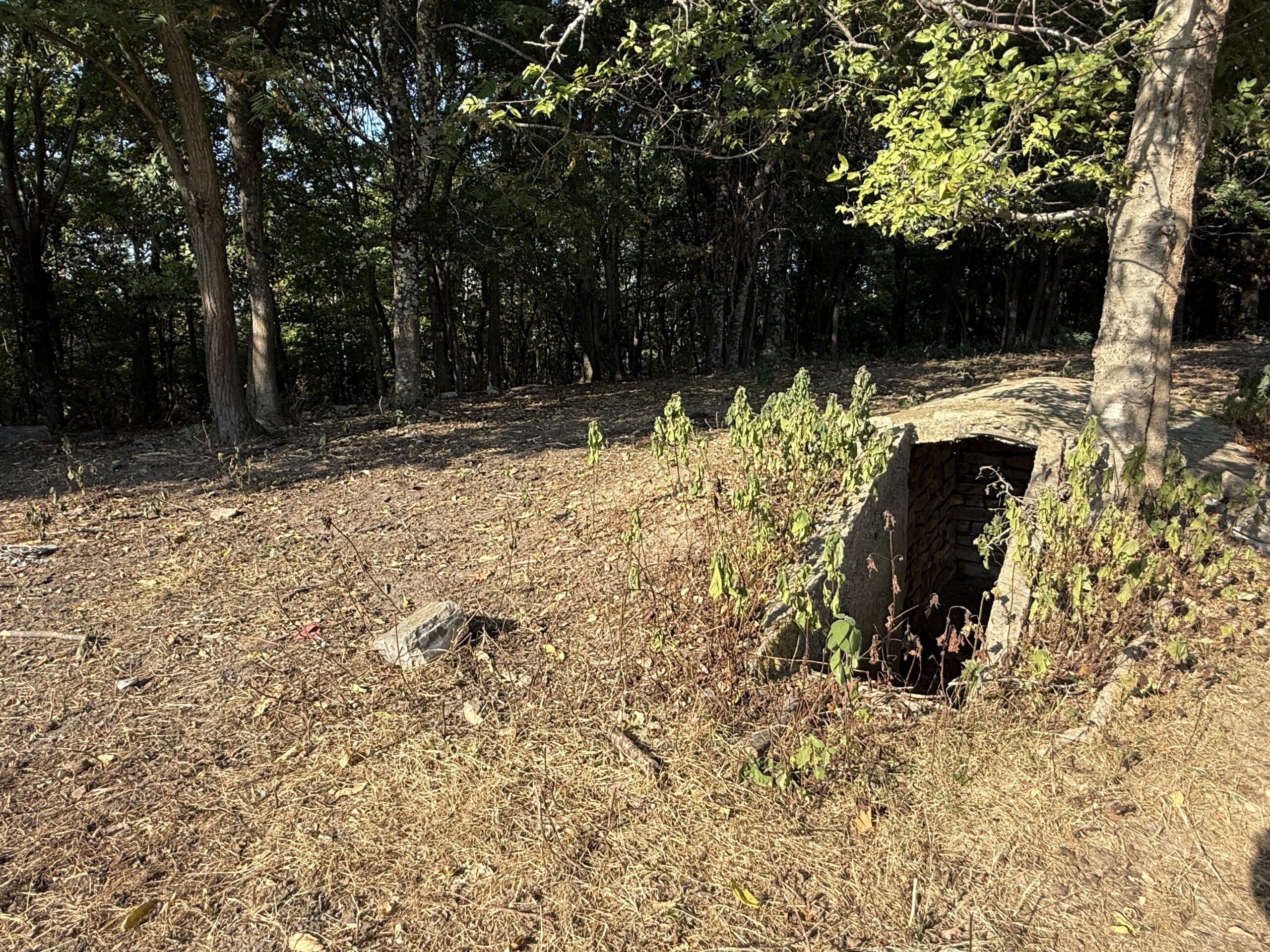HUNTING FOREST LAND FOR SALE IN OZARK MOUNTAINS OF ARKANSAS