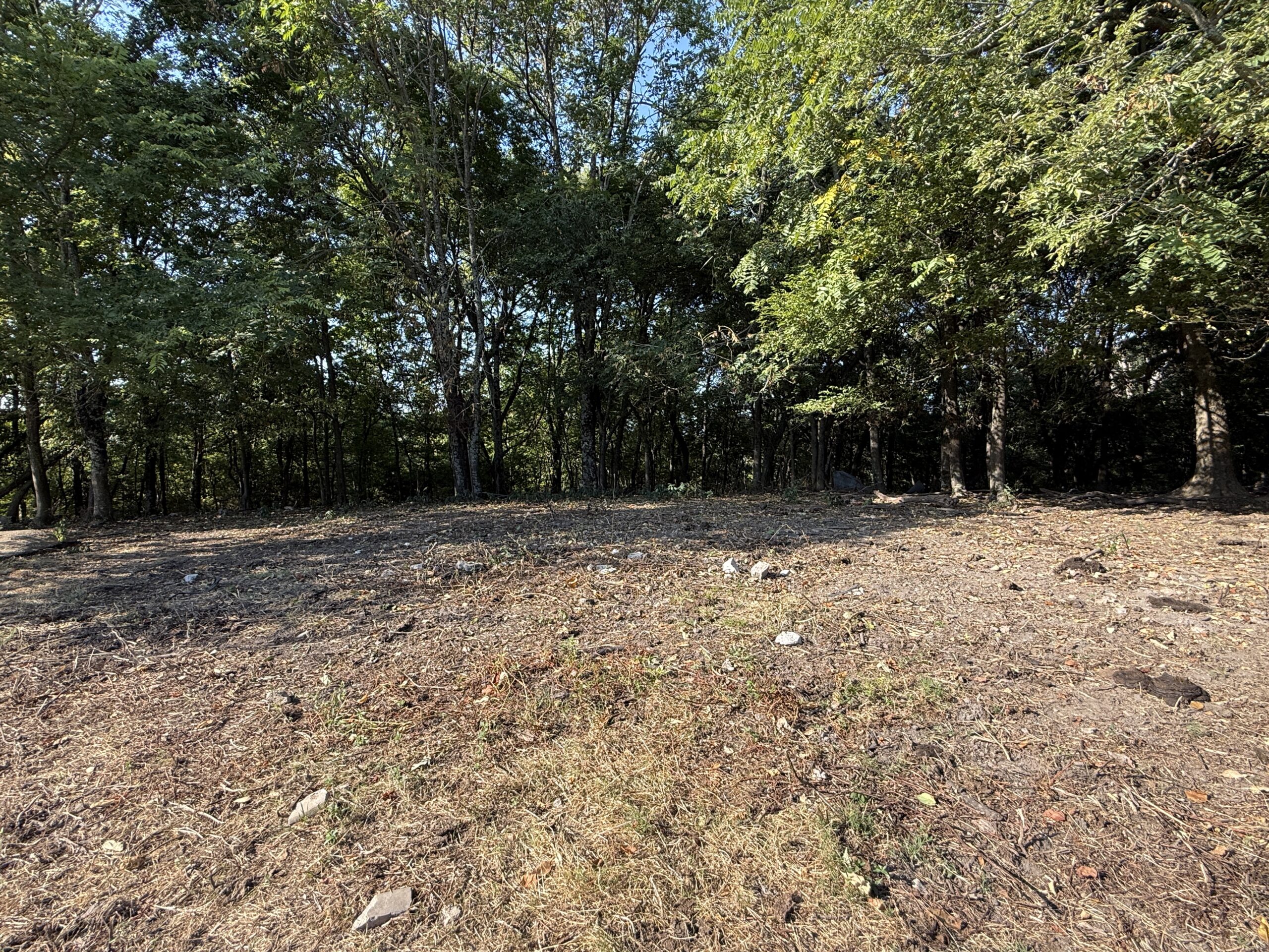 HUNTING FOREST LAND FOR SALE IN OZARK MOUNTAINS OF ARKANSAS