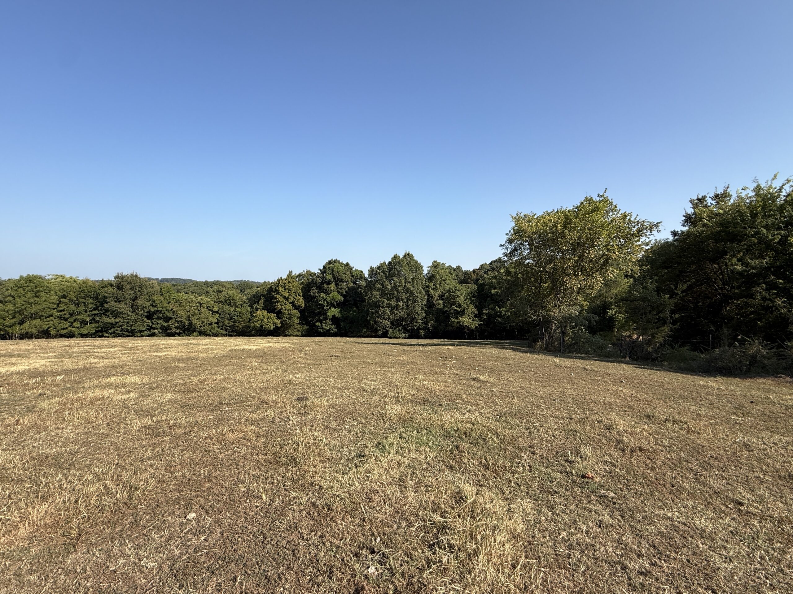 HUNTING FOREST LAND FOR SALE IN OZARK MOUNTAINS OF ARKANSAS