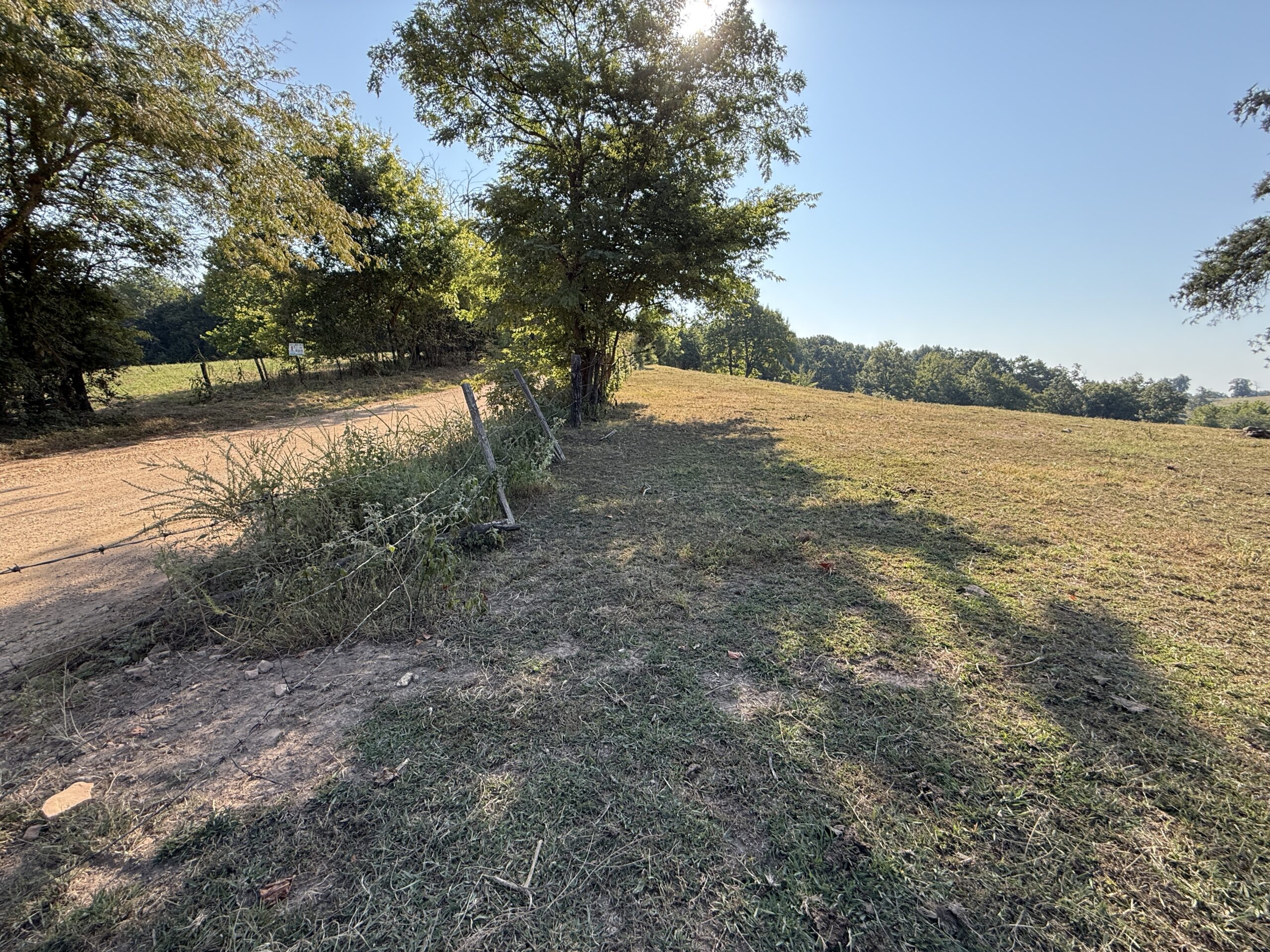 HUNTING FOREST LAND FOR SALE IN OZARK MOUNTAINS OF ARKANSAS