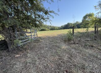 HUNTING AND RECREATIONAL LAND FOR SALE IN ARKANSAS