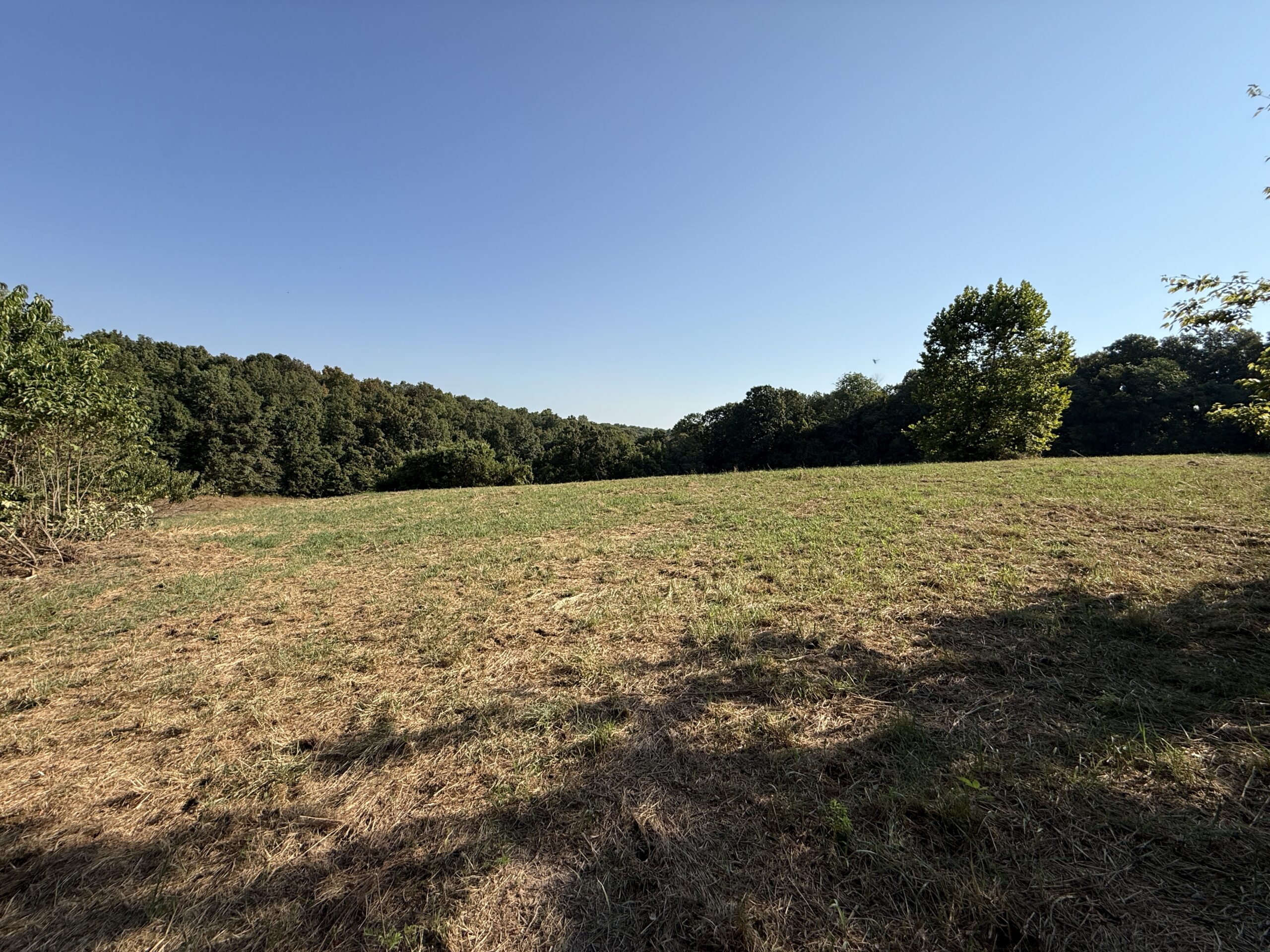 HUNTING AND RECREATIONAL LAND FOR SALE IN ARKANSAS