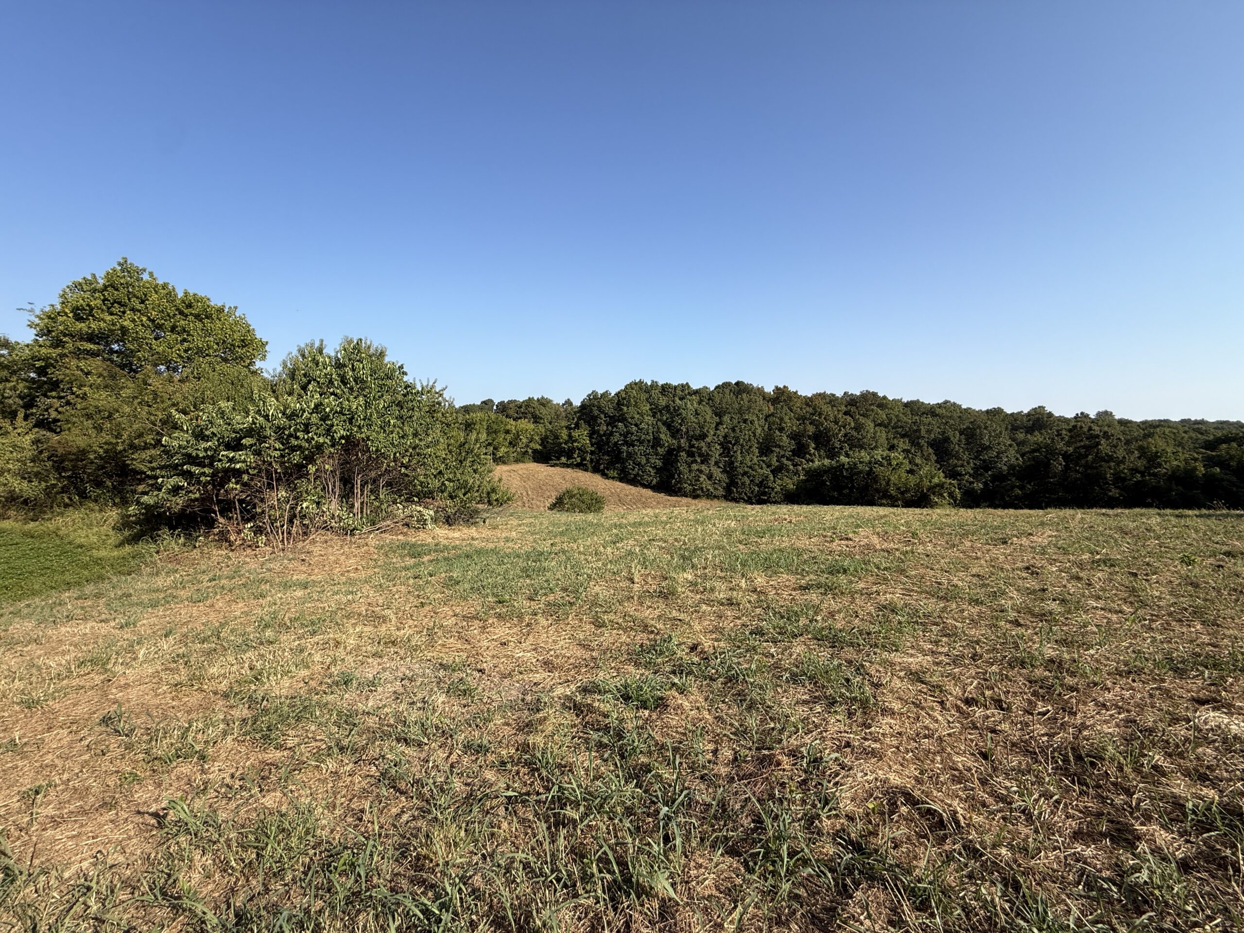 HUNTING AND RECREATIONAL LAND FOR SALE IN ARKANSAS