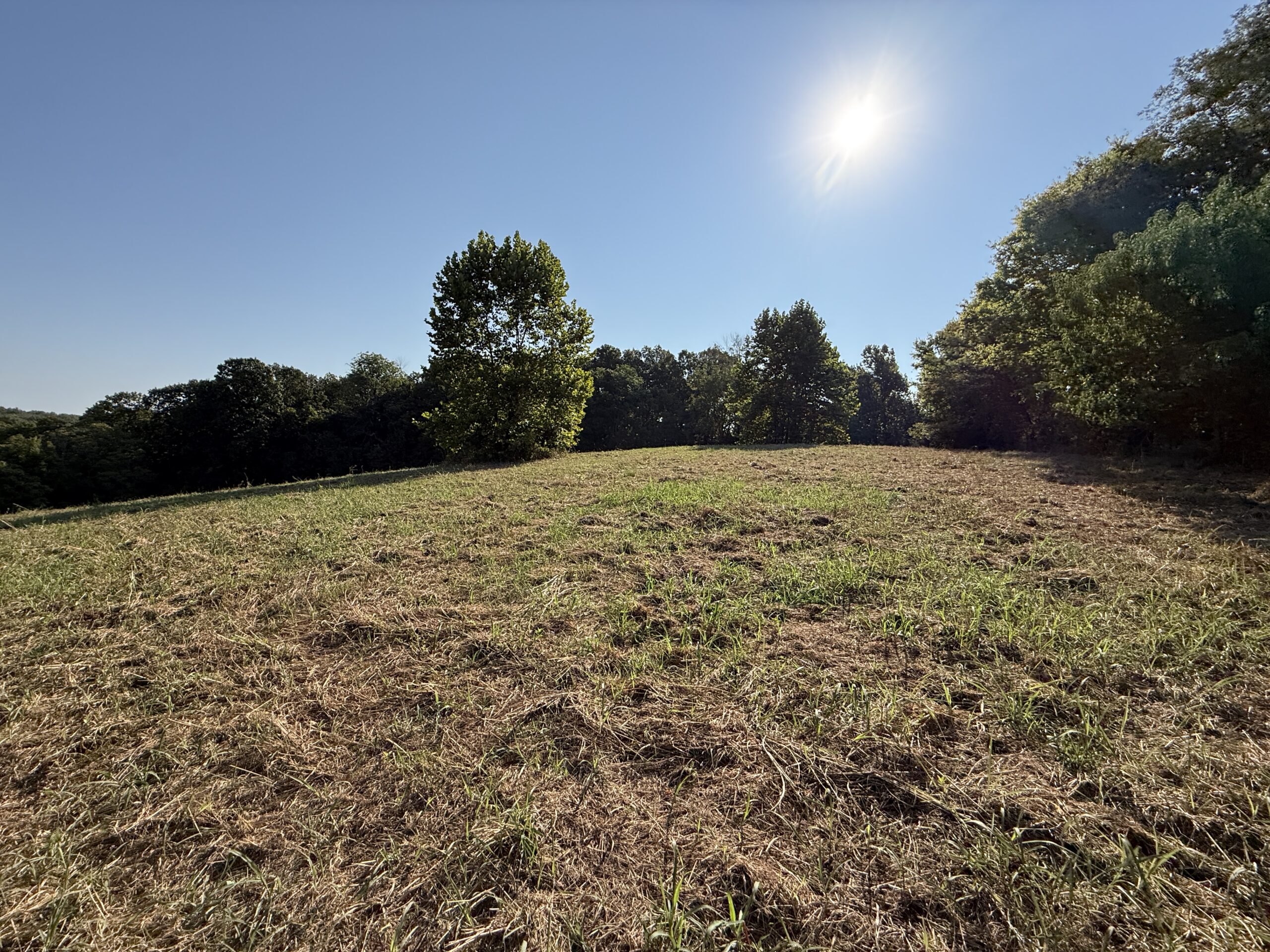 HUNTING AND RECREATIONAL LAND FOR SALE IN ARKANSAS