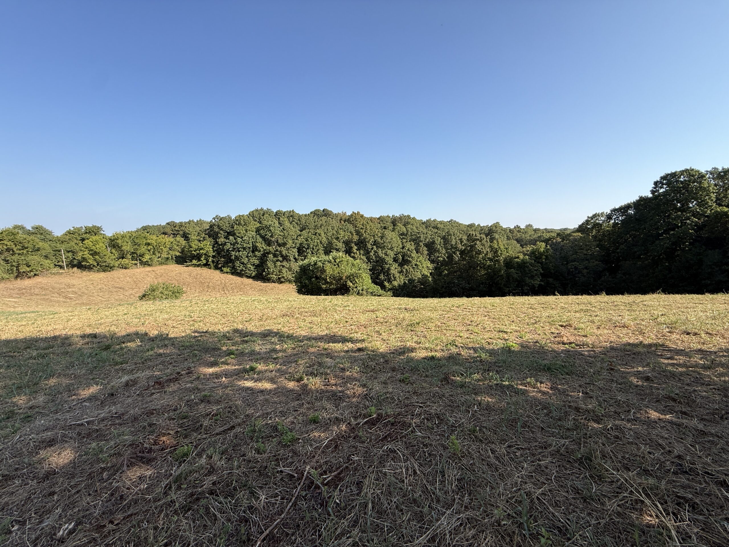 HUNTING AND RECREATIONAL LAND FOR SALE IN ARKANSAS