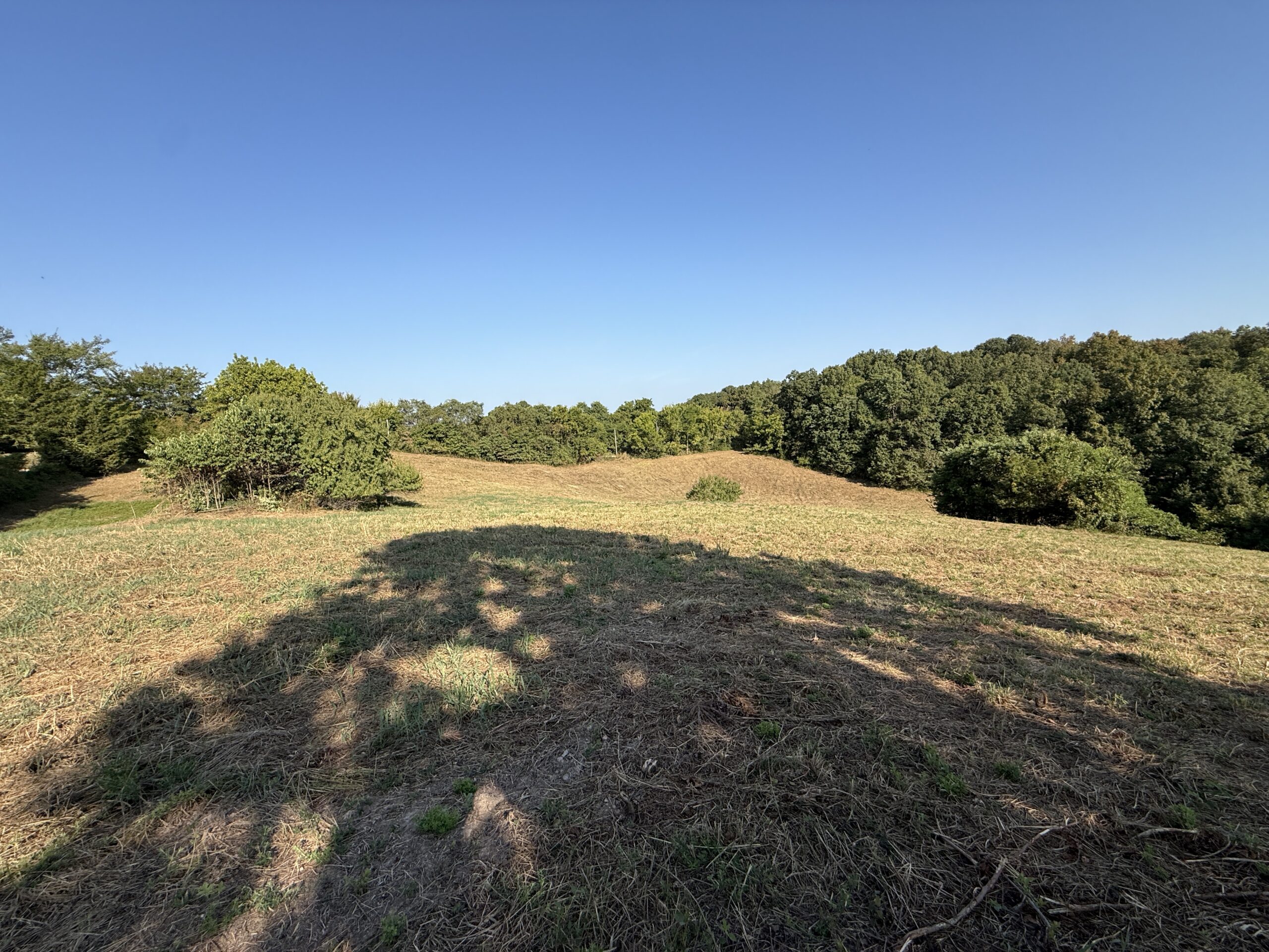 HUNTING AND RECREATIONAL LAND FOR SALE IN ARKANSAS