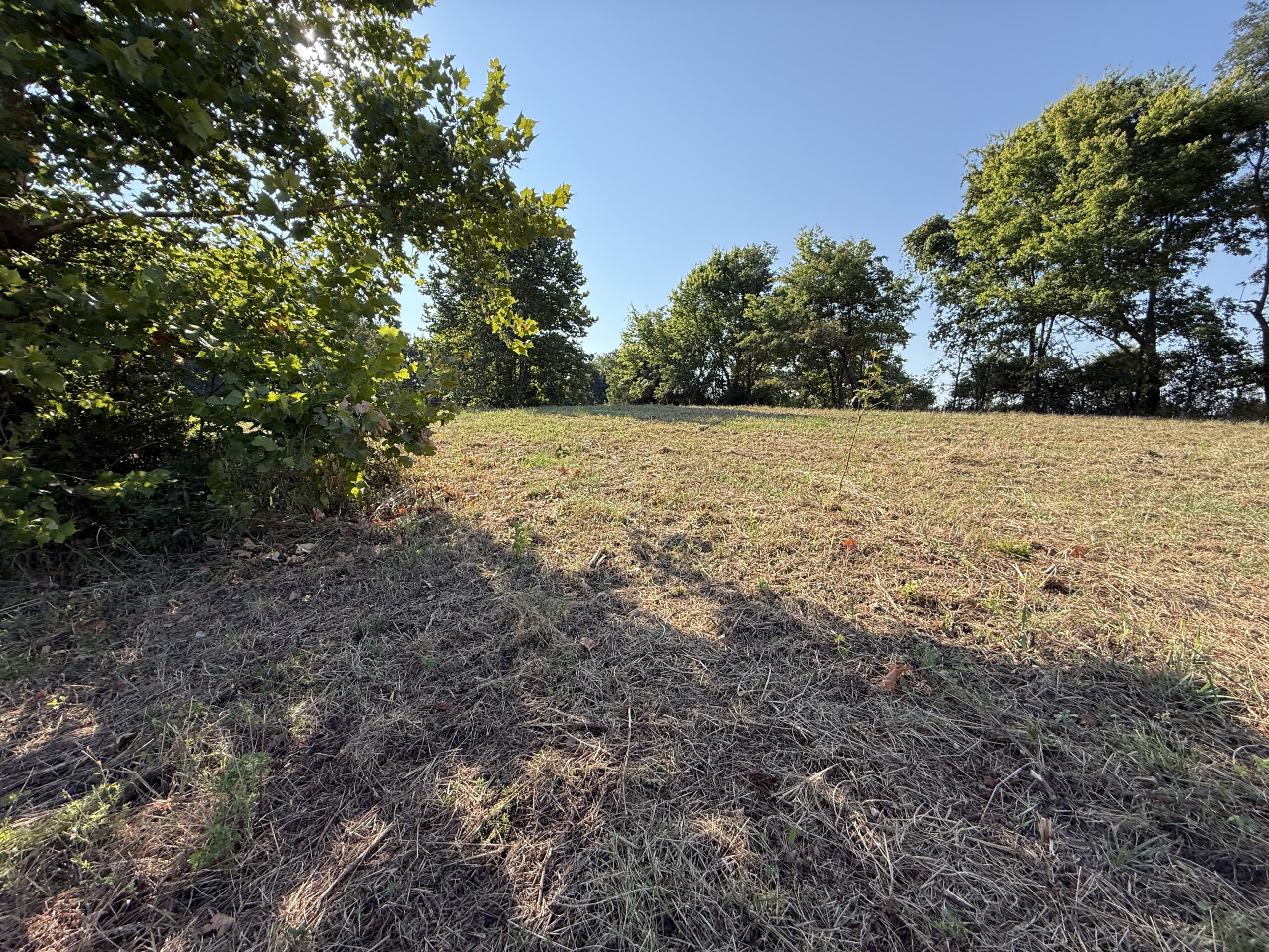 HUNTING AND RECREATIONAL LAND FOR SALE IN ARKANSAS
