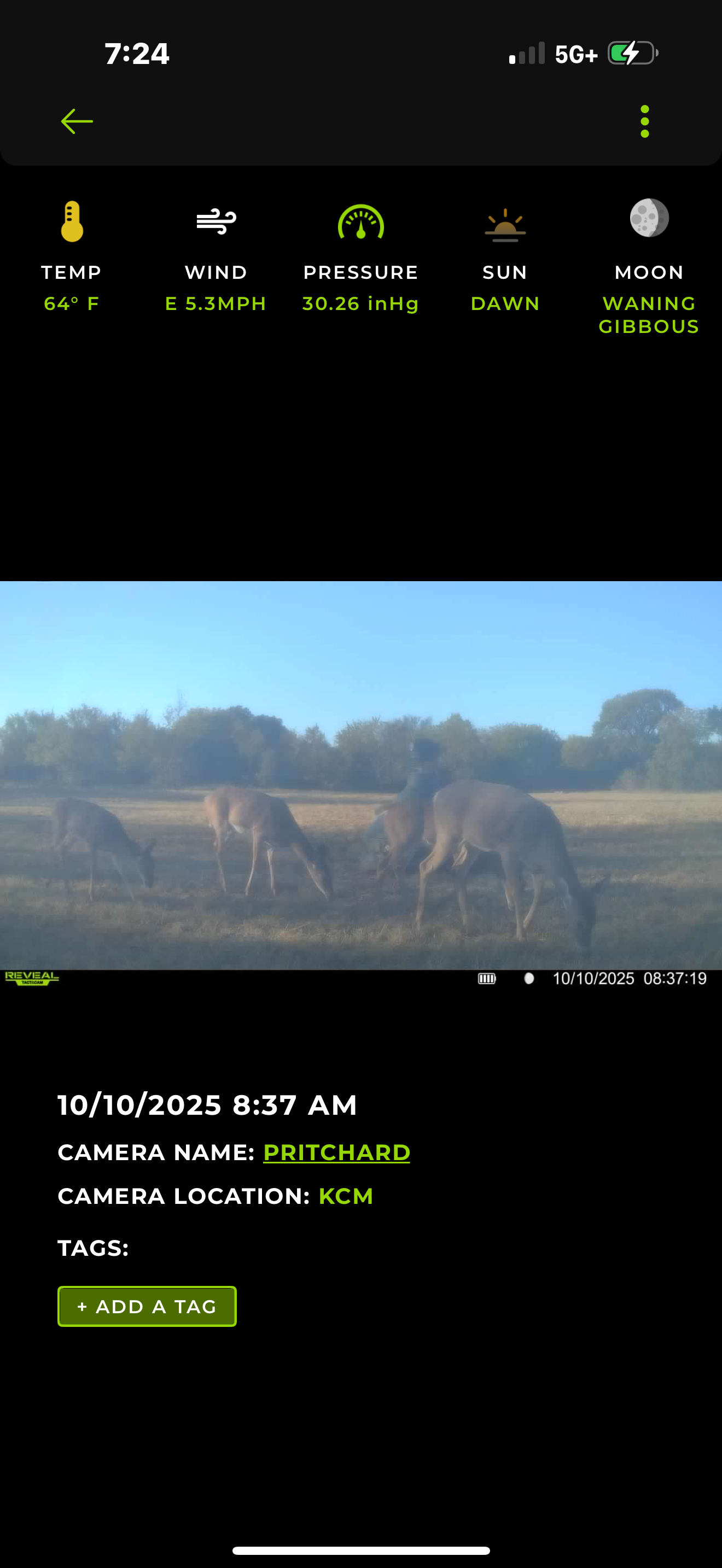 43 Acres for Sale on Pritchard Road, Just Off Hwy 22 North of Bokchito, Oklahoma – Creek, Hunting, and Country Estate Potential