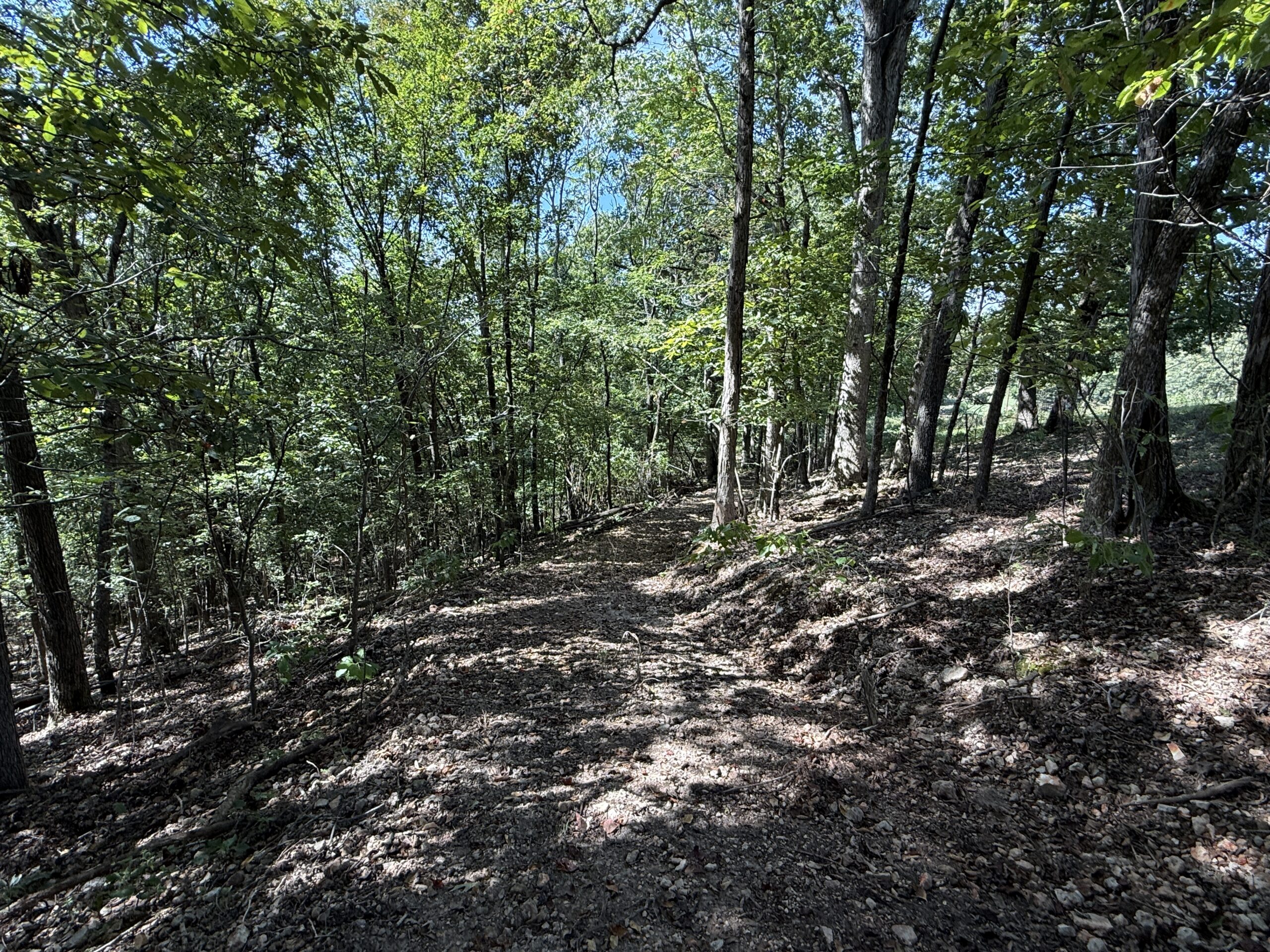 HUNTING FOREST LAND FOR SALE IN OZARK MOUNTAINS OF ARKANSAS