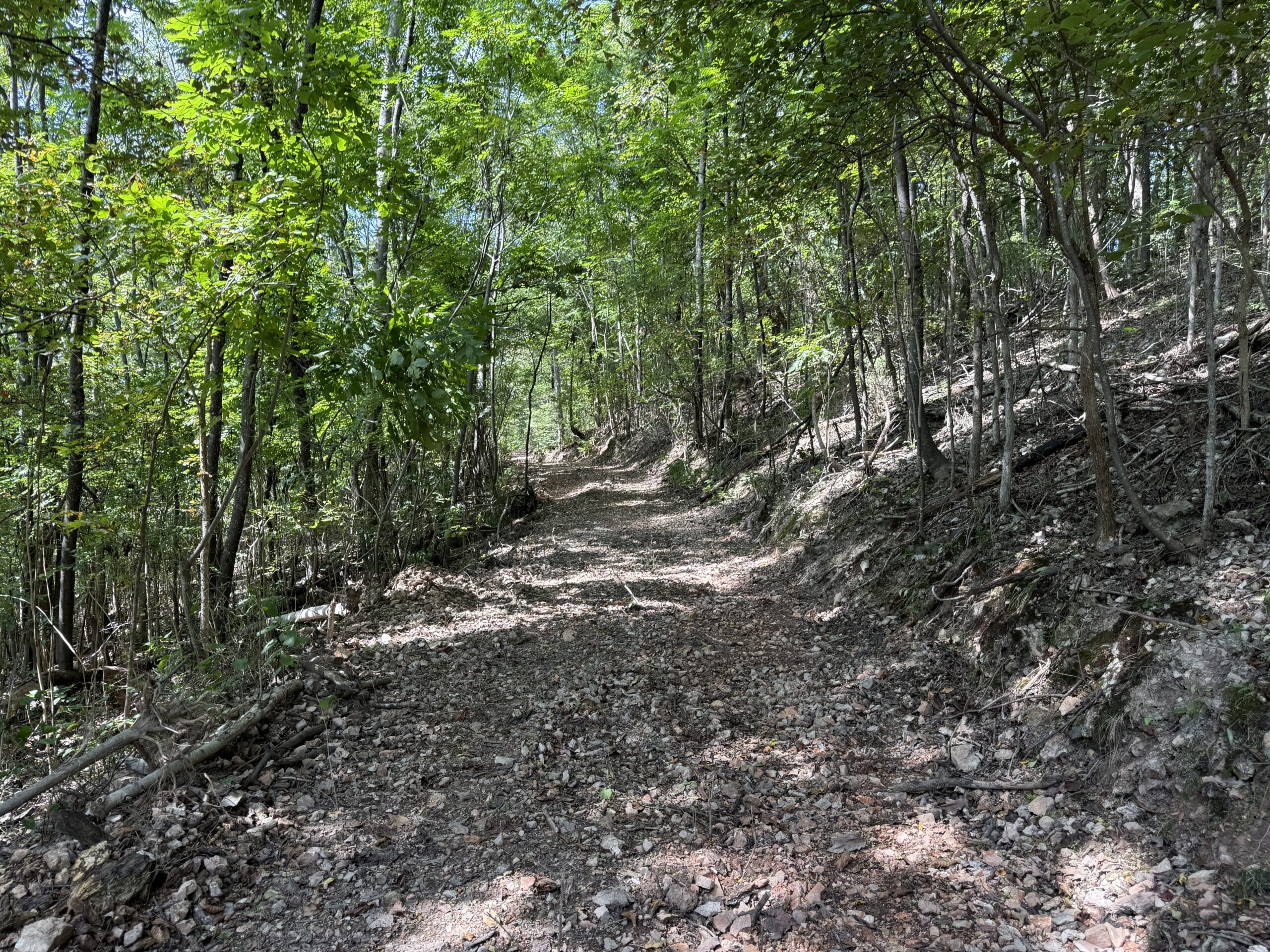 HUNTING FOREST LAND FOR SALE IN OZARK MOUNTAINS OF ARKANSAS