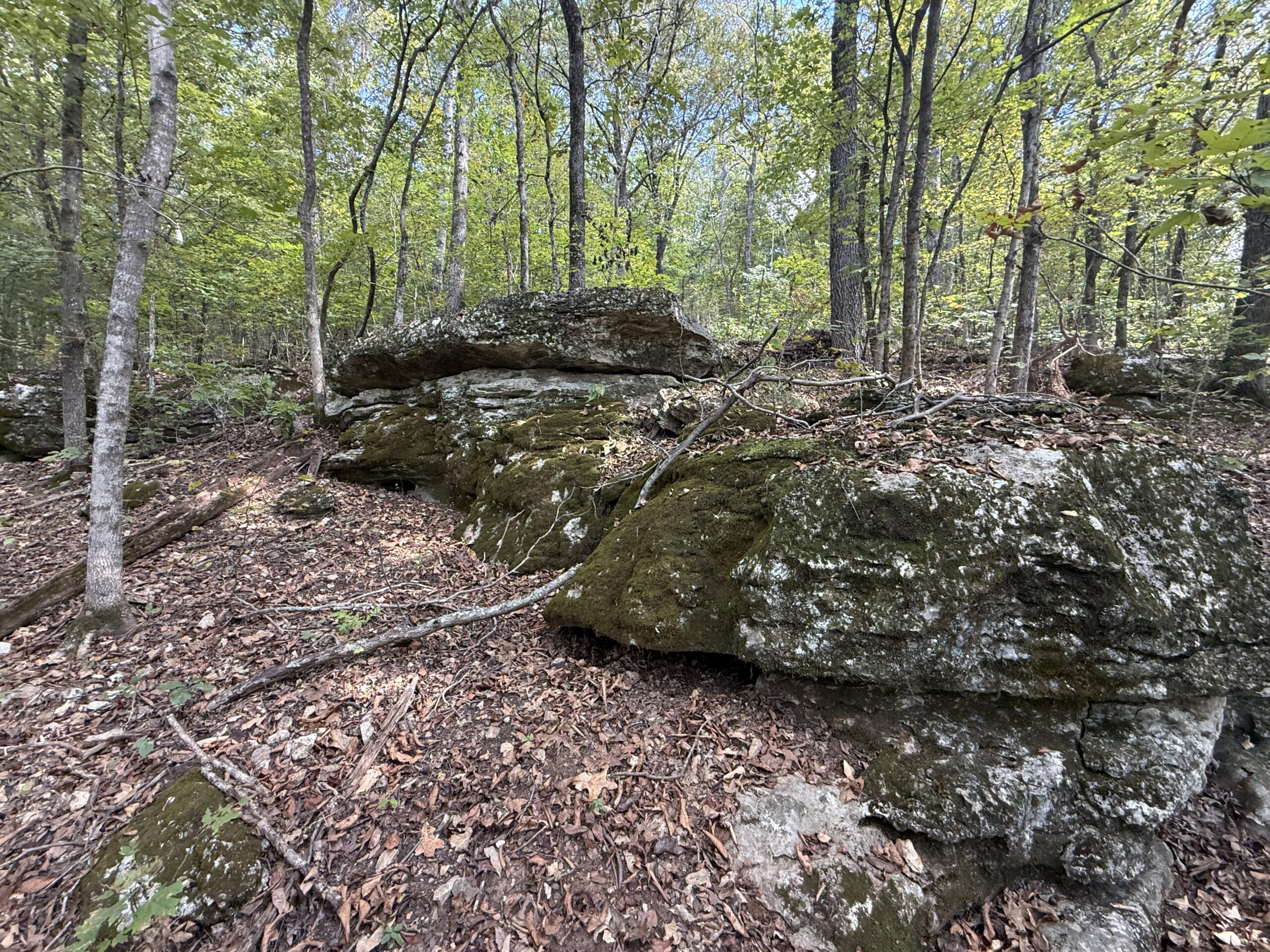 HUNTING FOREST LAND FOR SALE IN OZARK MOUNTAINS OF ARKANSAS