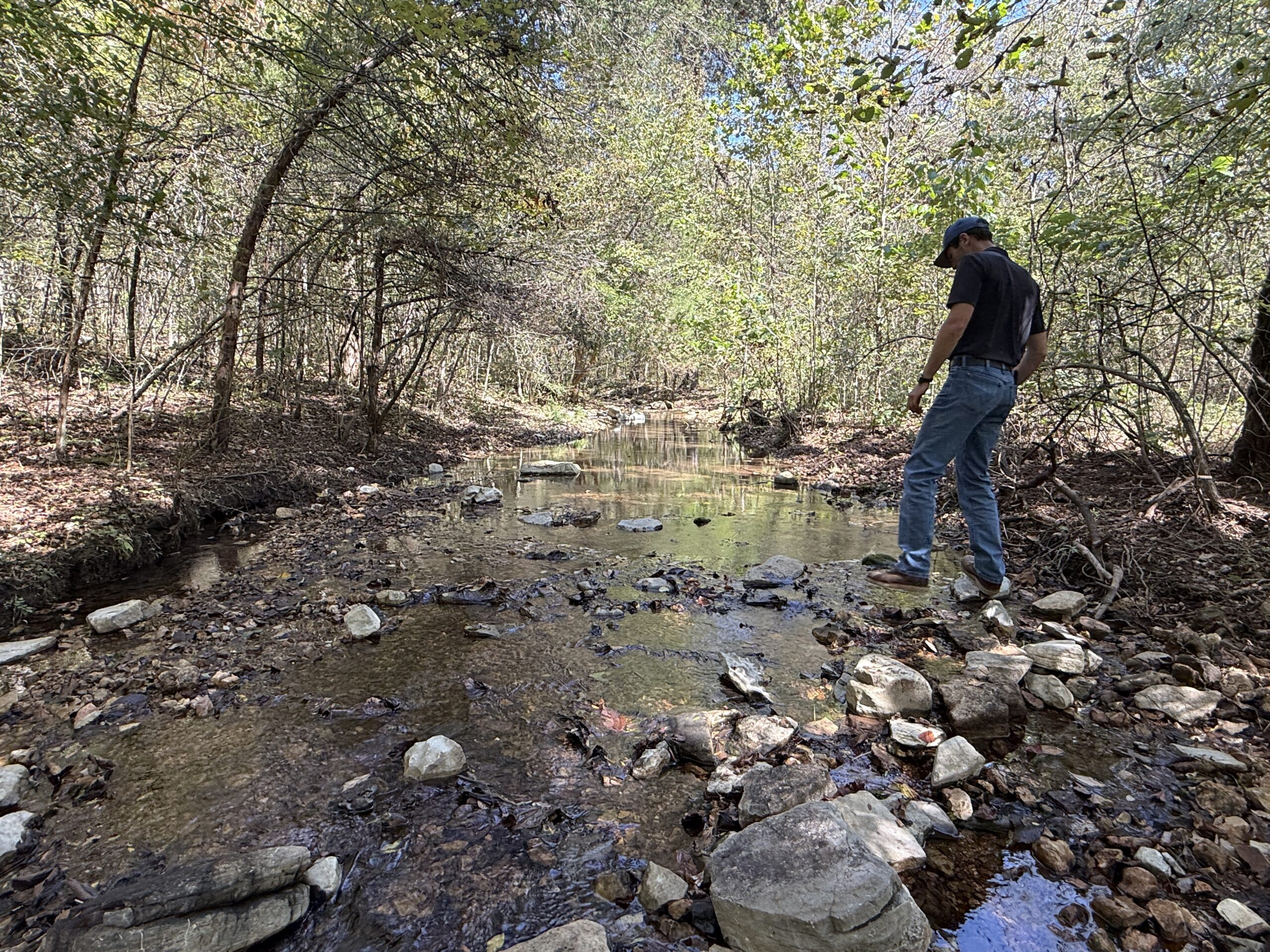 HUNTING FOREST LAND FOR SALE IN OZARK MOUNTAINS OF ARKANSAS