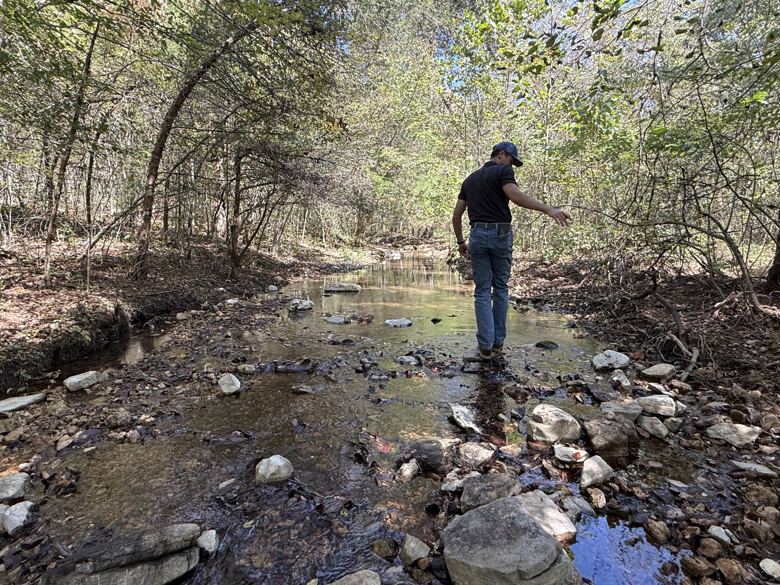 HUNTING FOREST LAND FOR SALE IN OZARK MOUNTAINS OF ARKANSAS