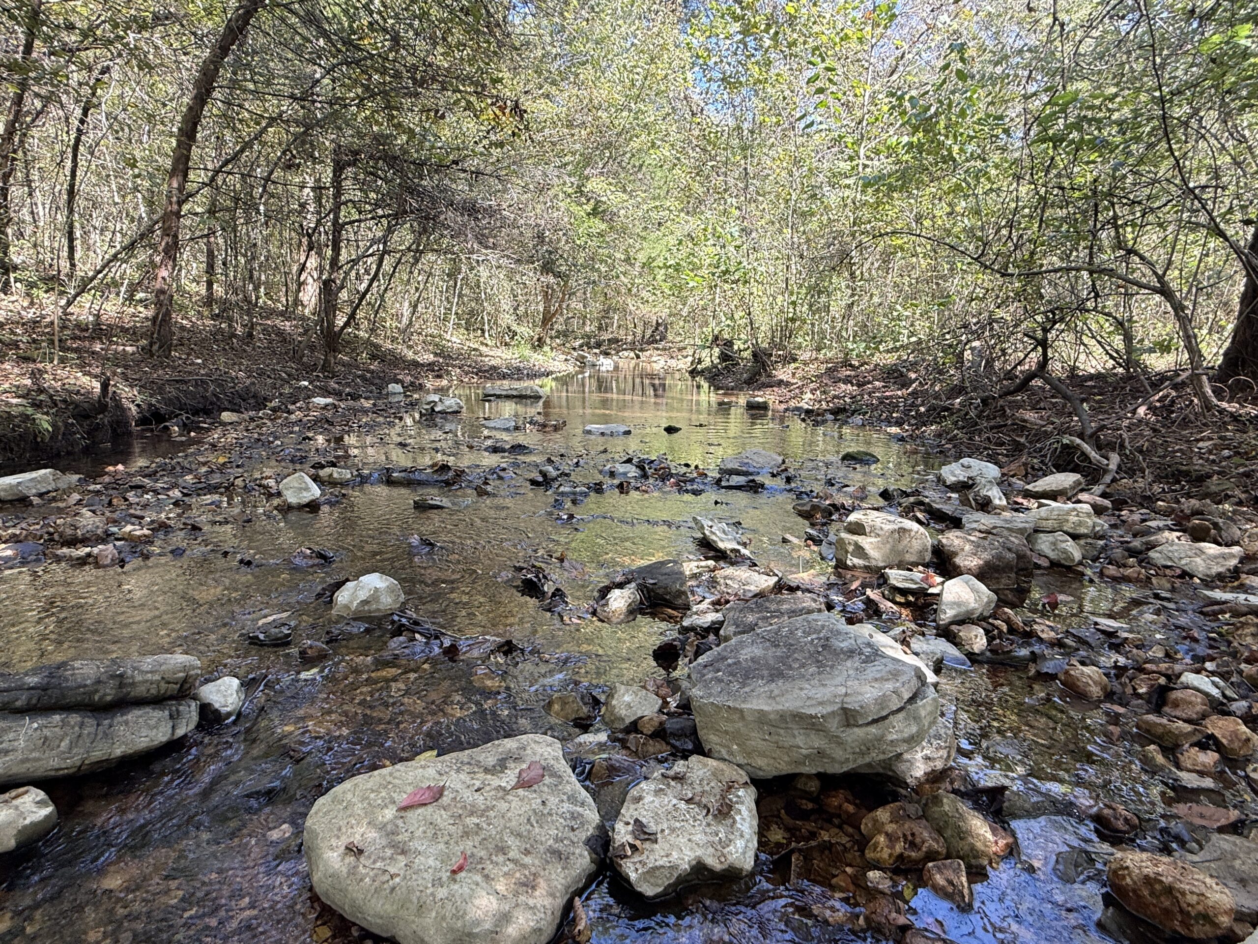 HUNTING FOREST LAND FOR SALE IN OZARK MOUNTAINS OF ARKANSAS